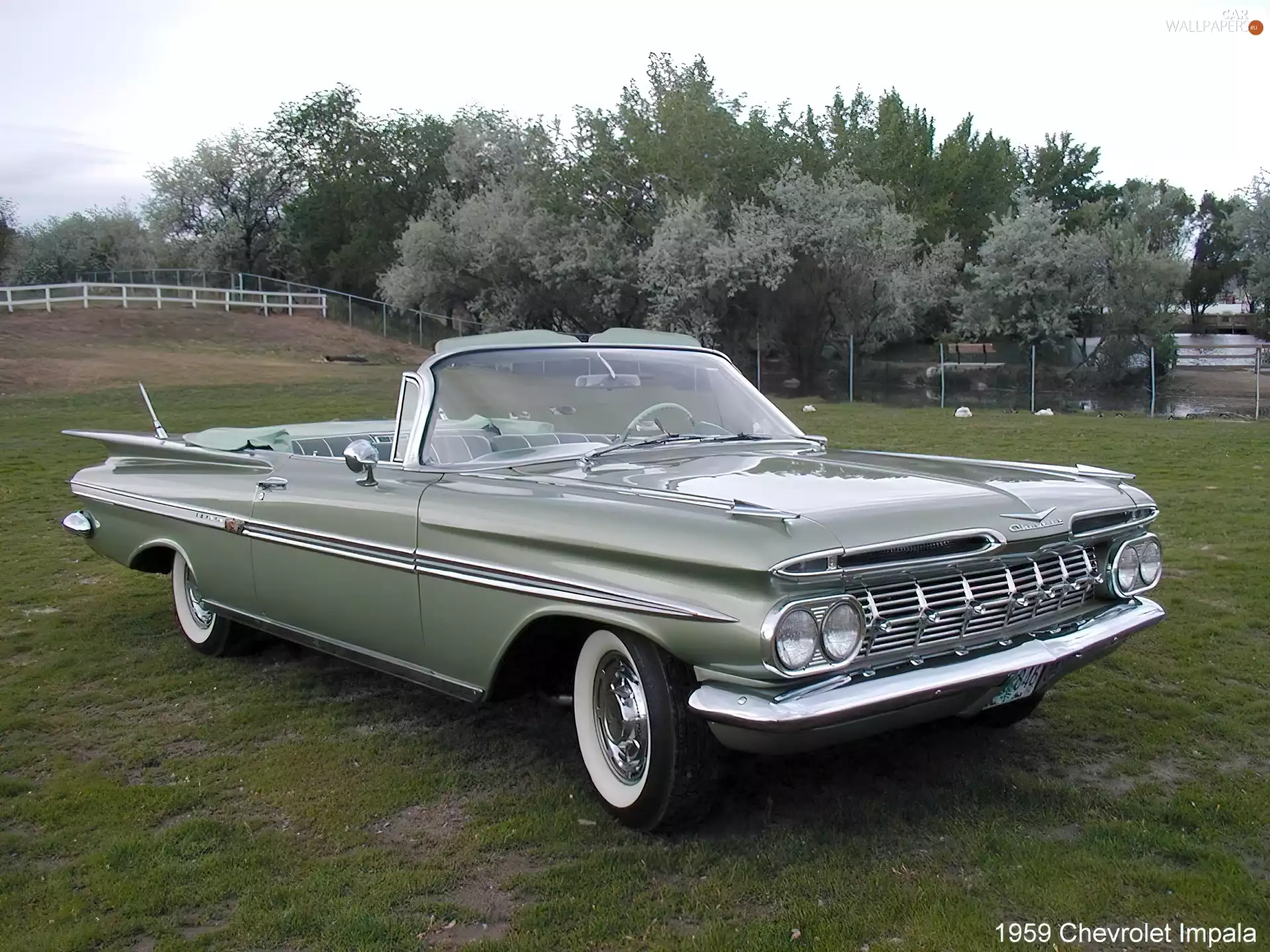 light, Chevrolet, tires