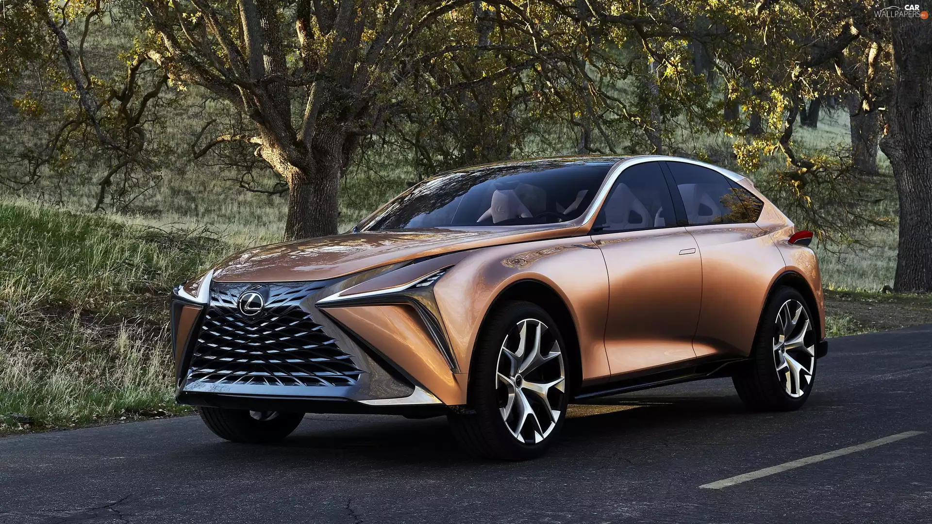 Lexus LF-1 Limitless, Concept, 2018, SUV