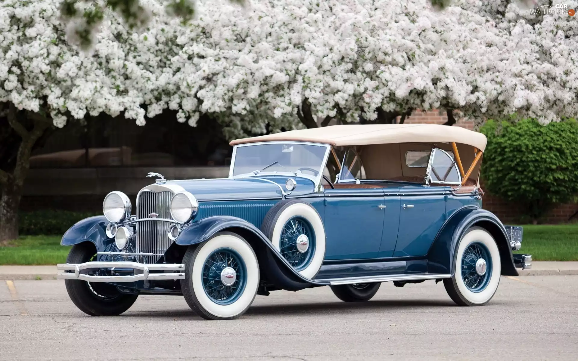 Lincoln, Phaeton, Sport, 1931, trees, viewes, Way, flourishing, antique