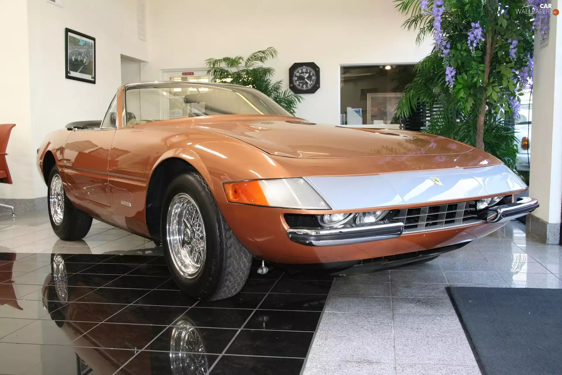 stabilizer, Ferrari Daytona, link