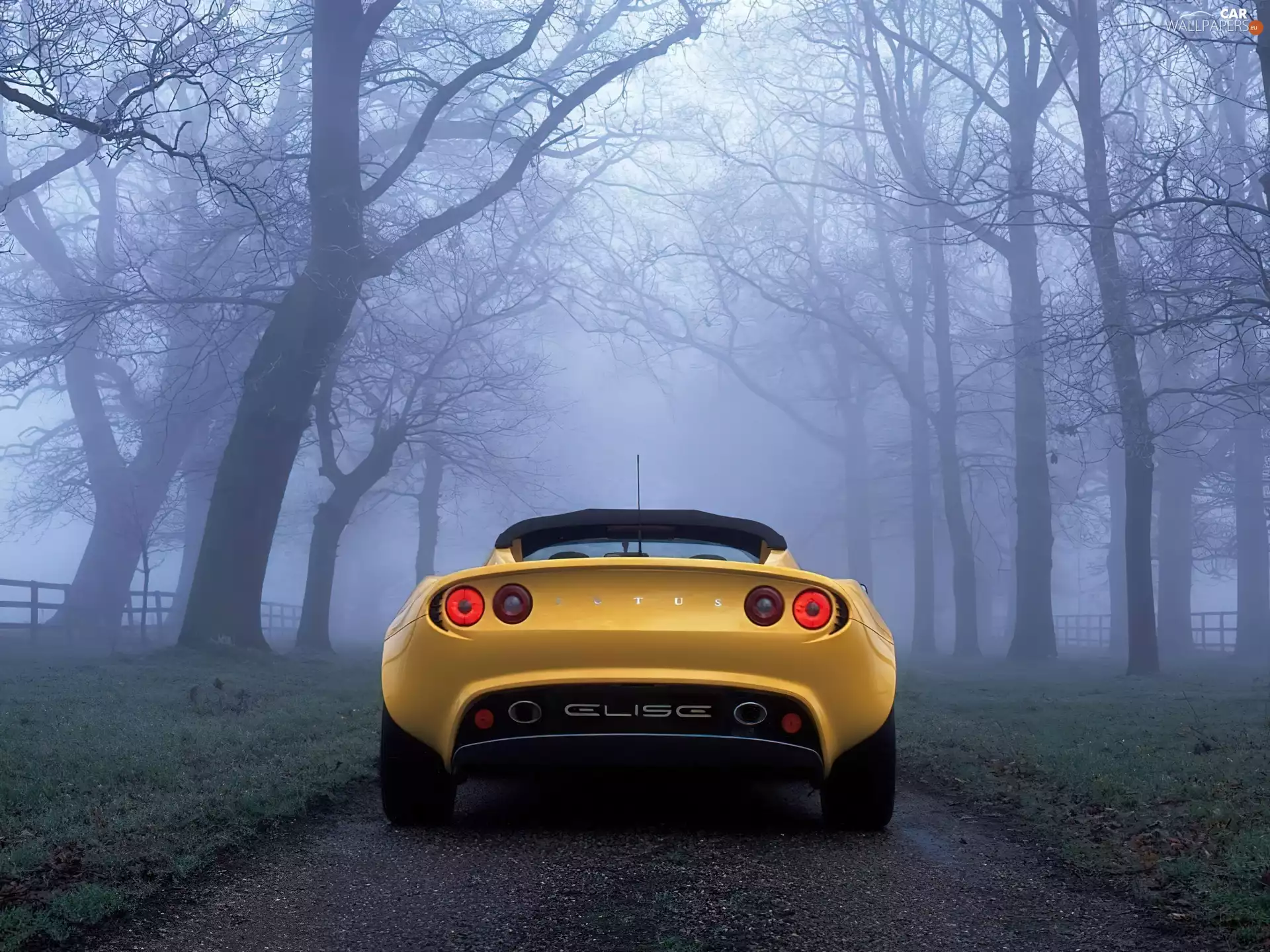 Lotus Elise, Back