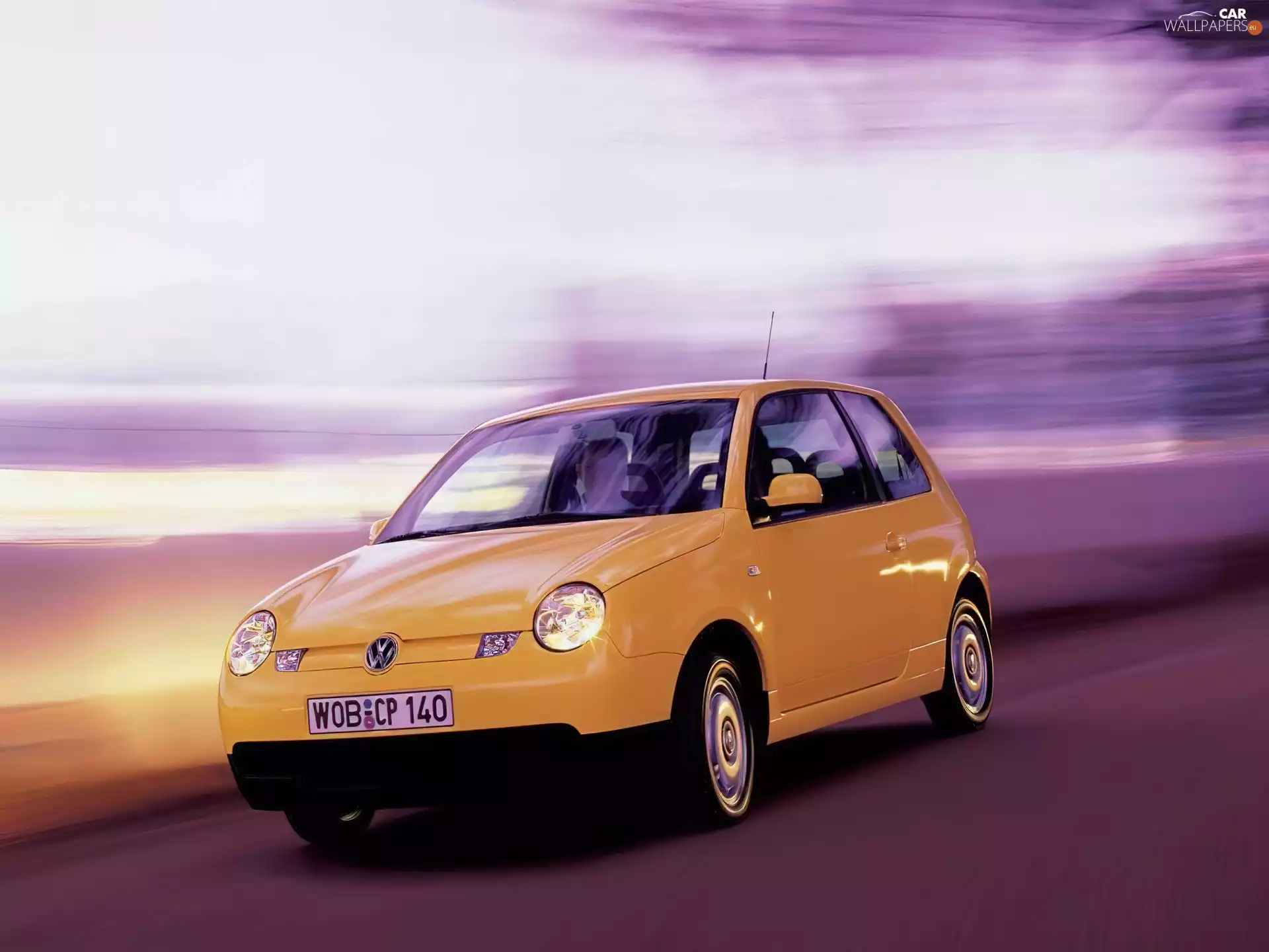 Lupo, Dark yellow