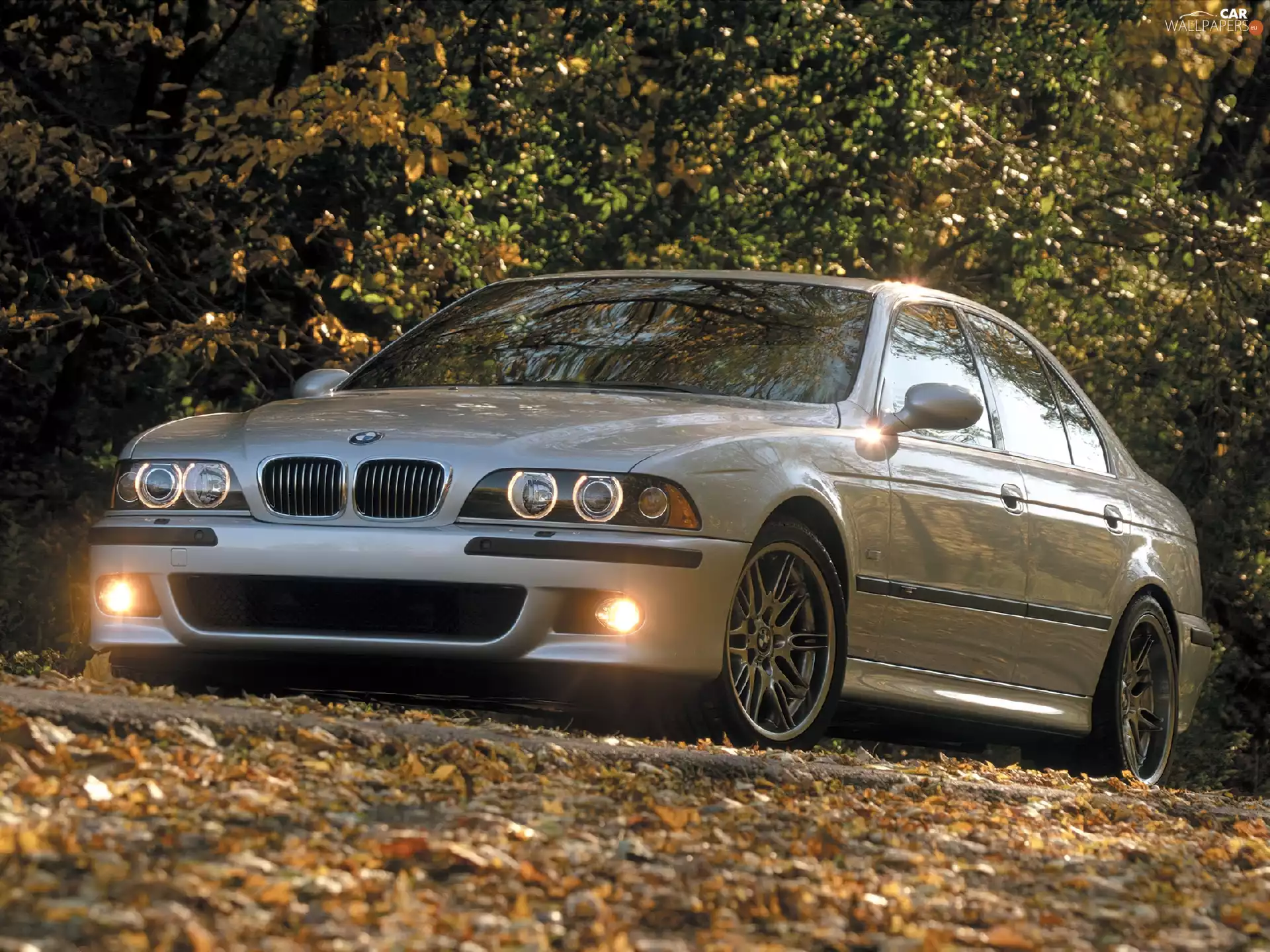 E39, BMW Seria M, BMW 5