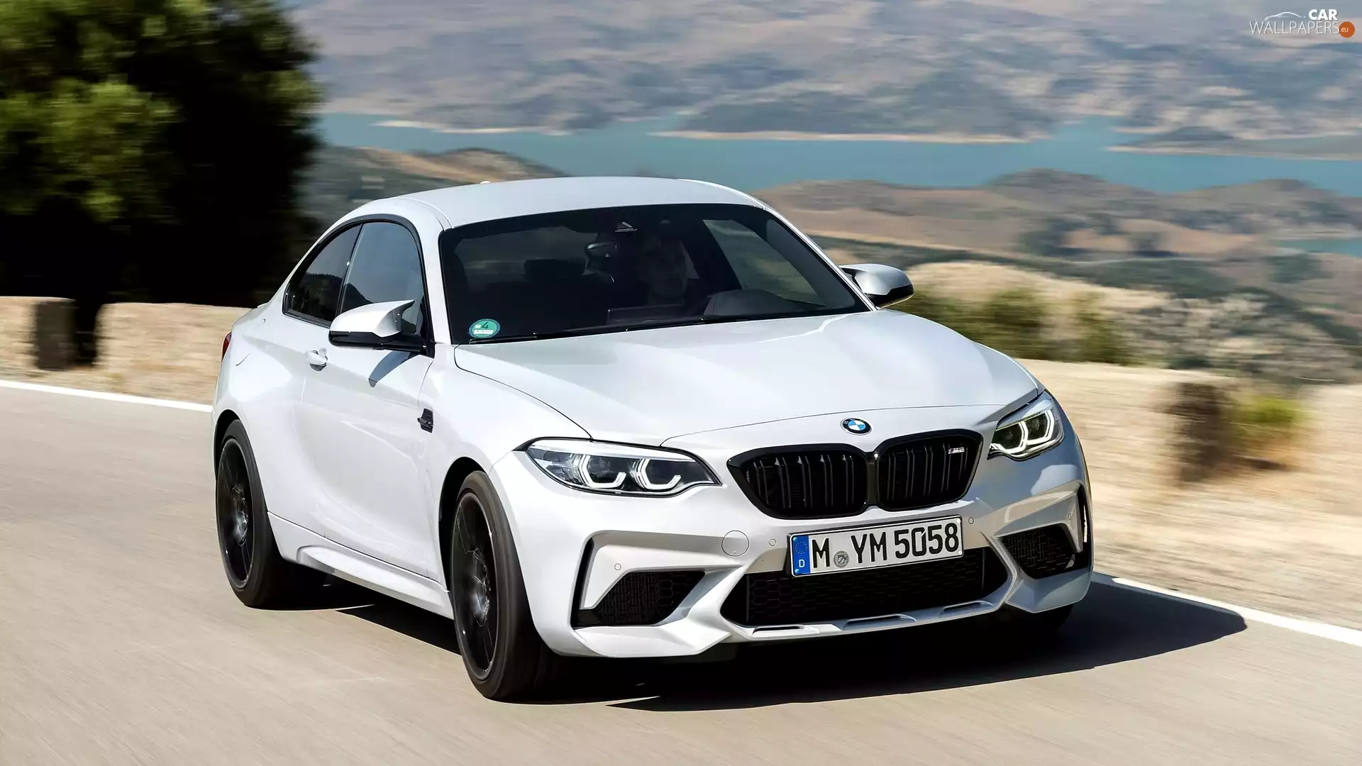 BMW M2, 2019, Way, Competition