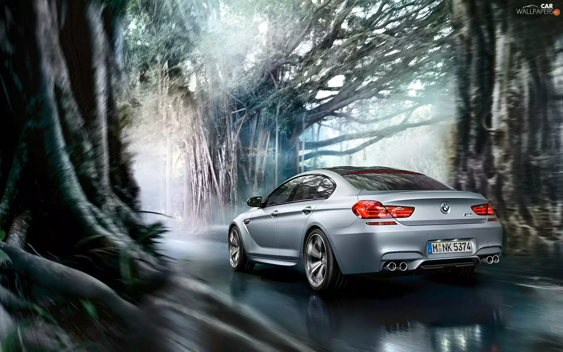 Bmw M6, trees, viewes, Way