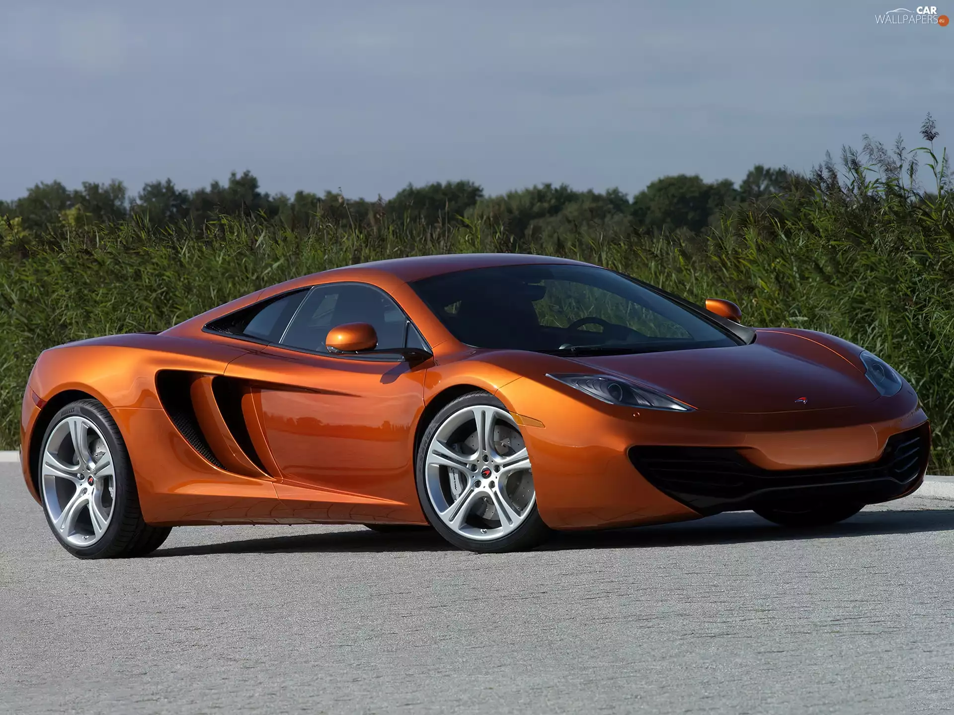 McLaren MP4-12C, Mask