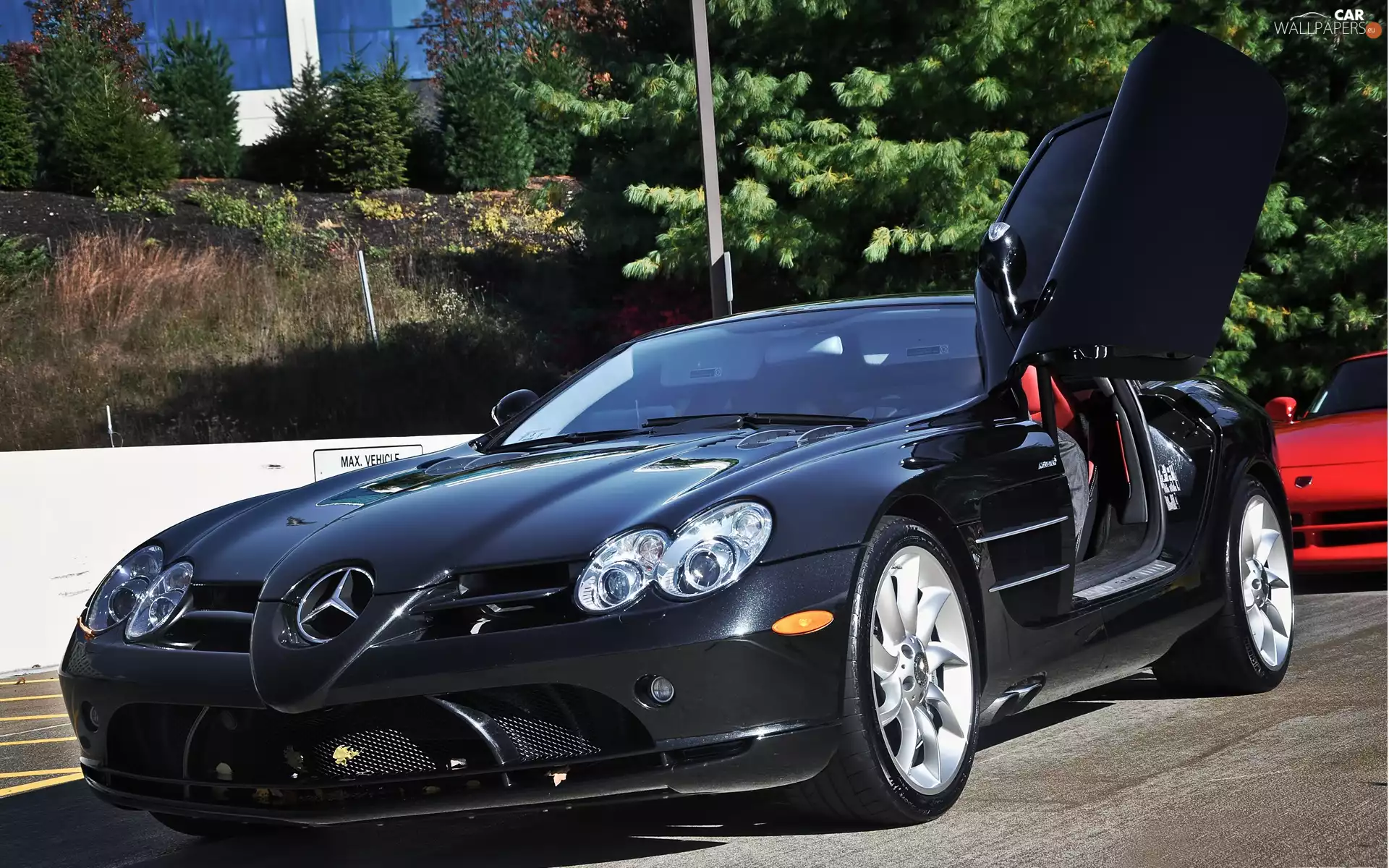 Mercedes Benz SLR McLaren, trees, viewes, Street
