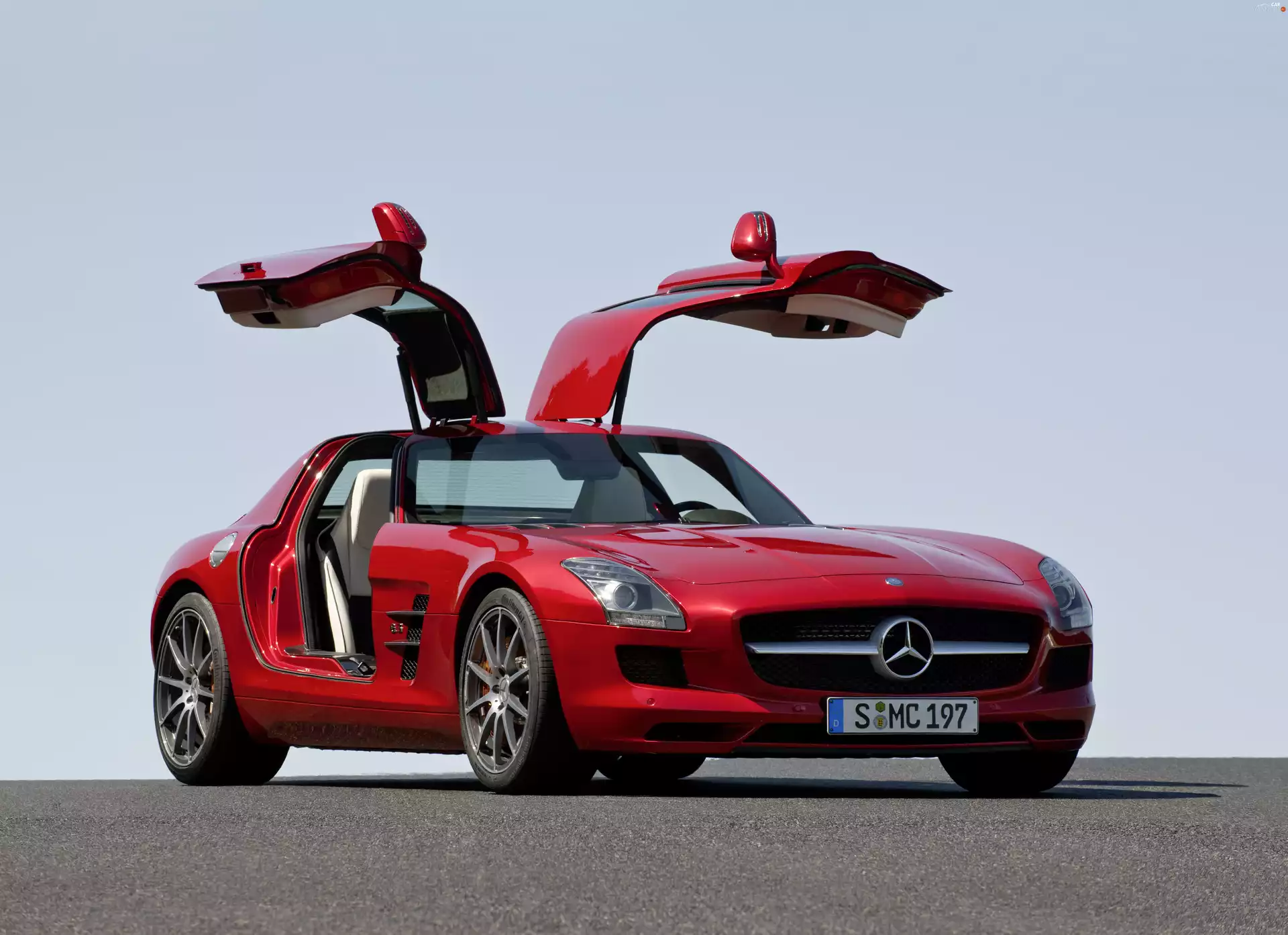 Doors, Mercedes Benz SLS, wings