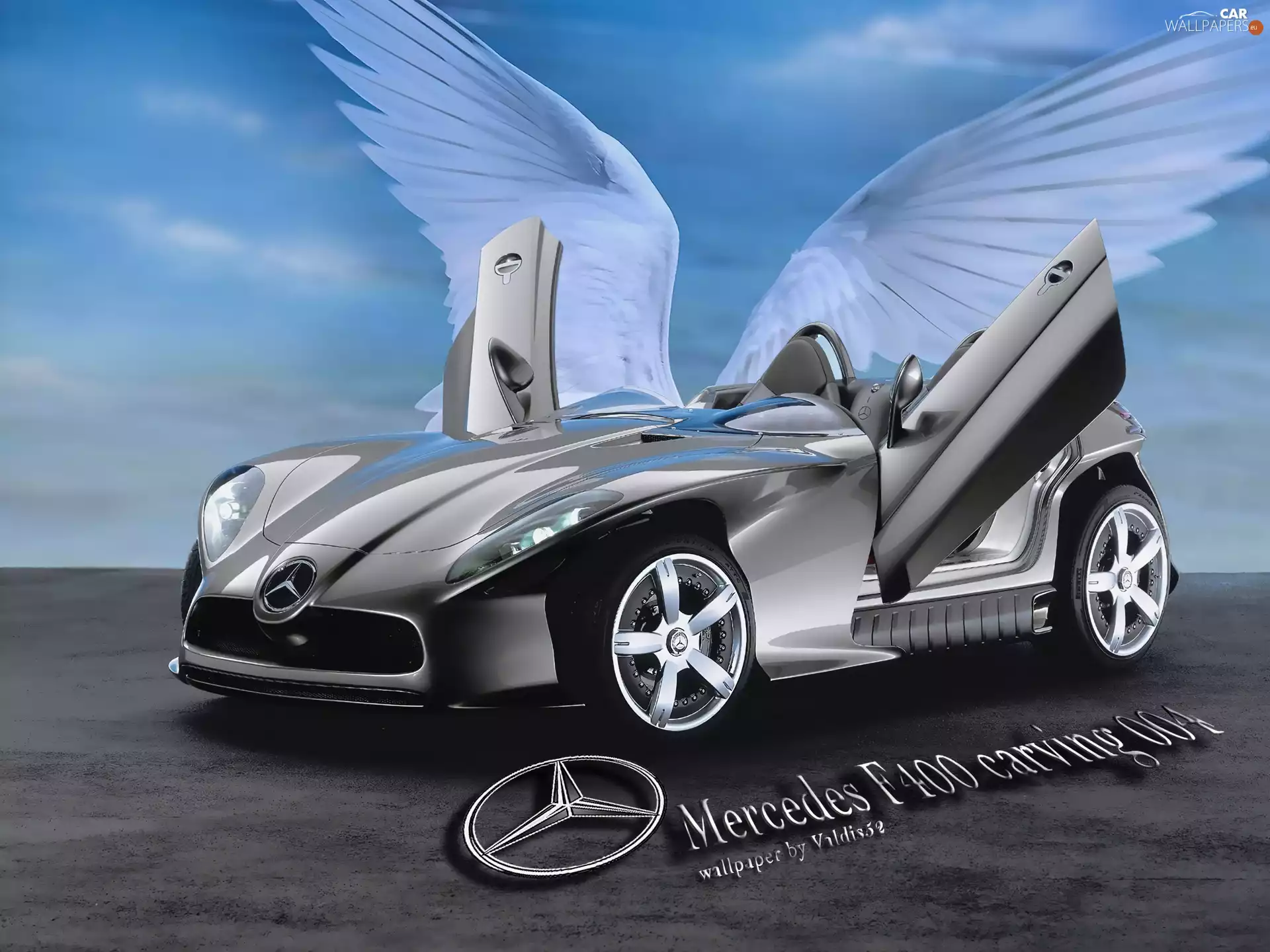 wings, Mercedes F400, Carving 004