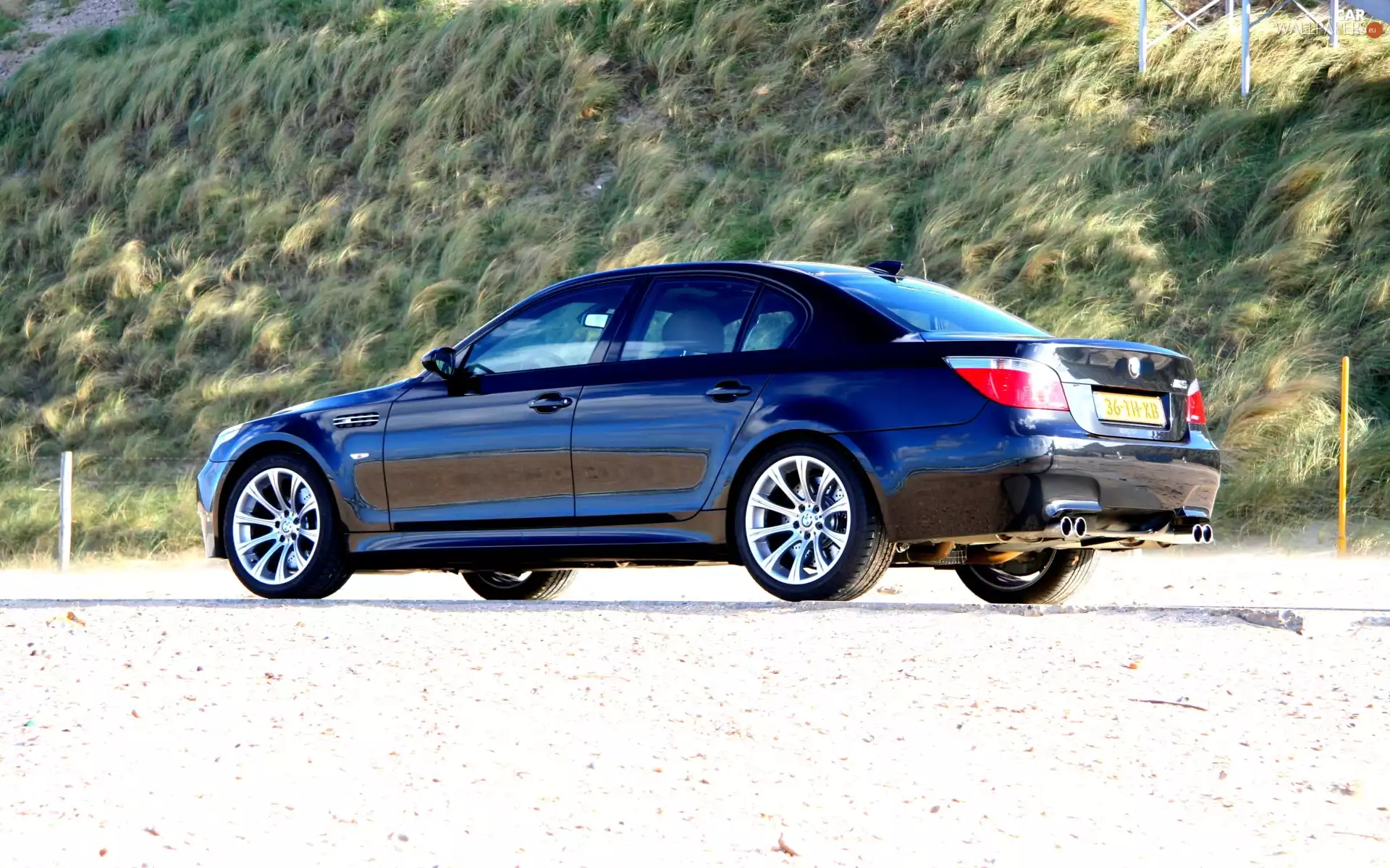 blue, Metalic, E60, BMW 5