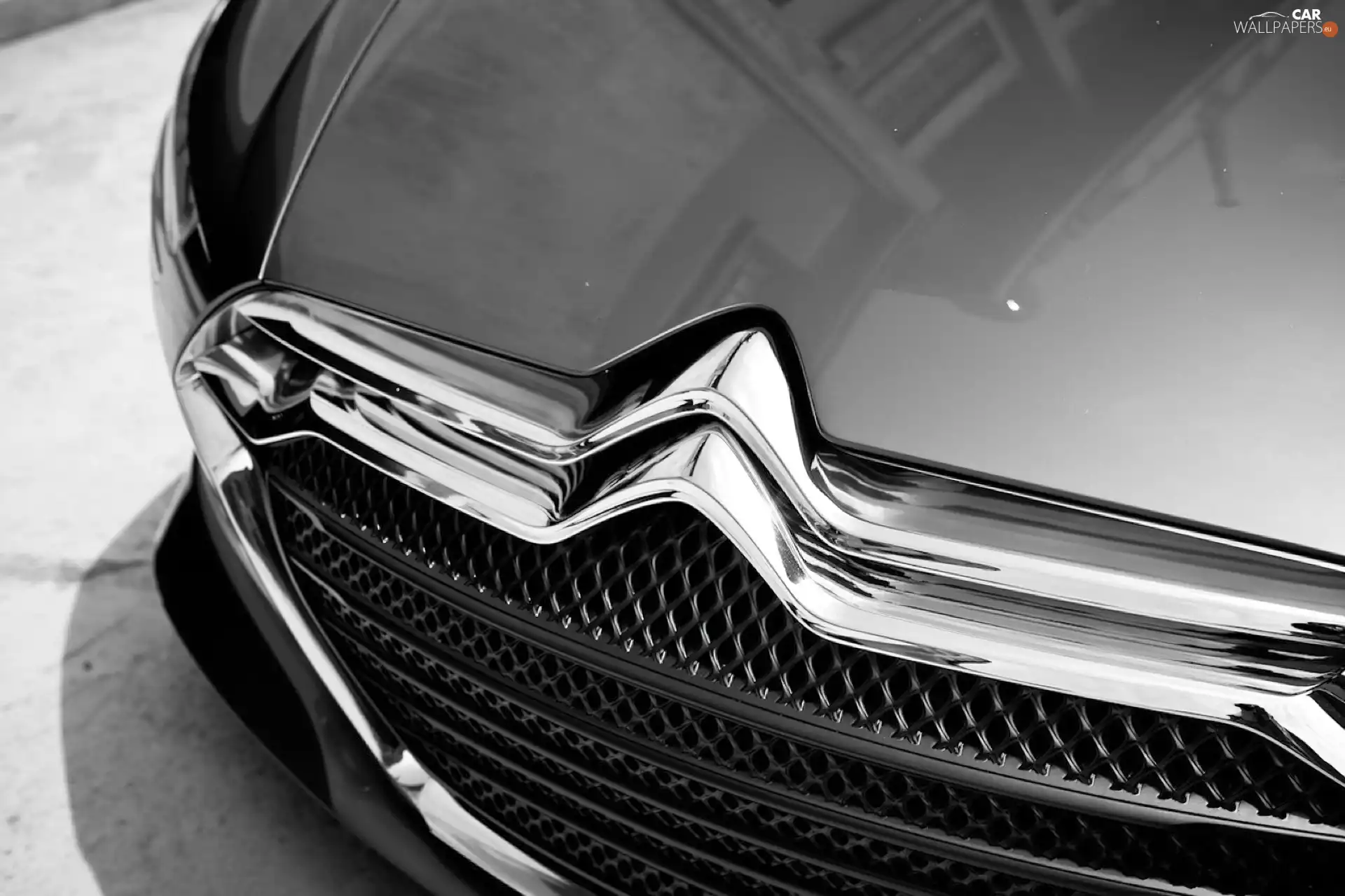 Grill, logo, Citroen Metropolis