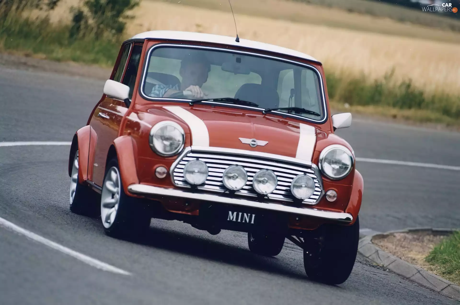 Mini Morris, Halogens