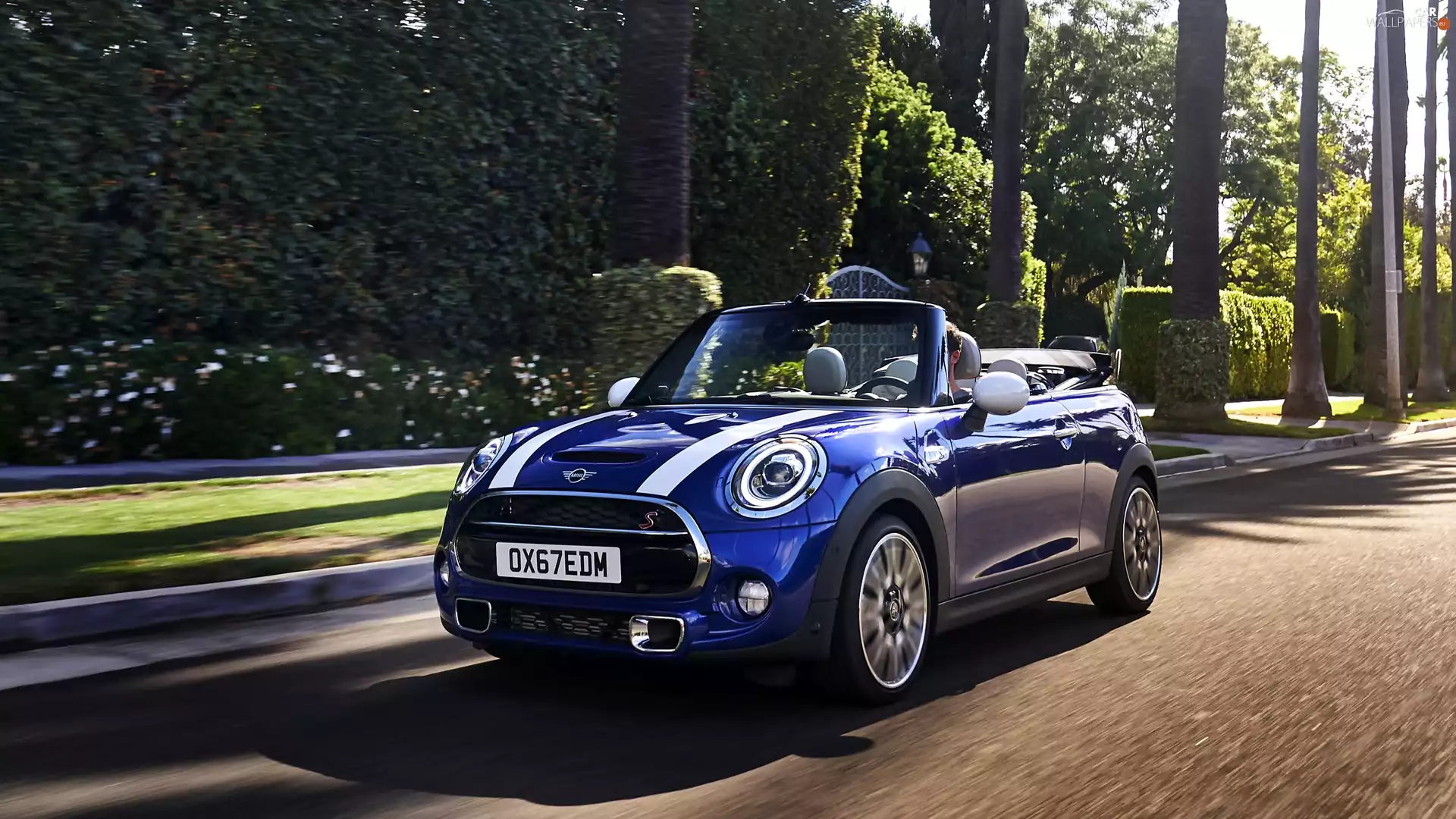Blue, Convertible, 2019, Mini Cooper S