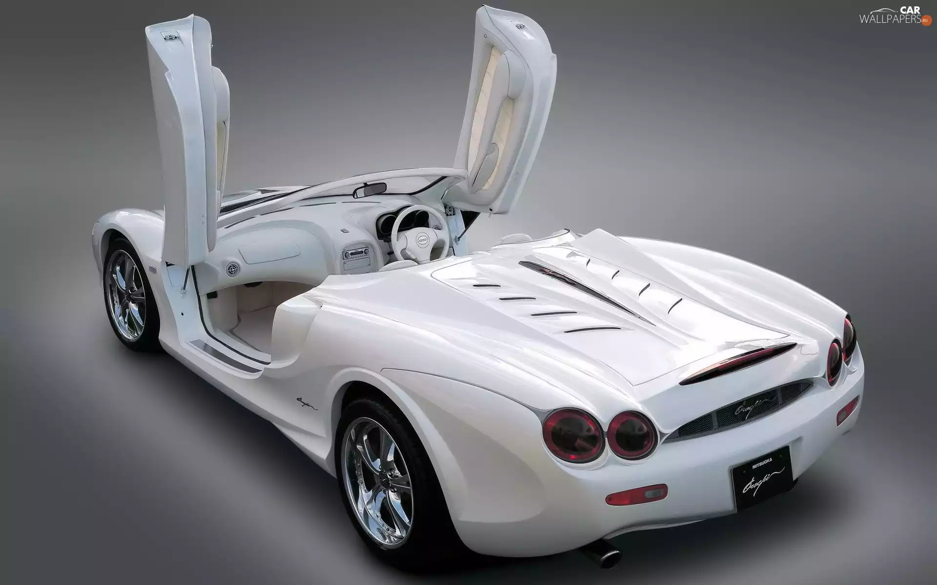 Mitsuoka Orochi, Back