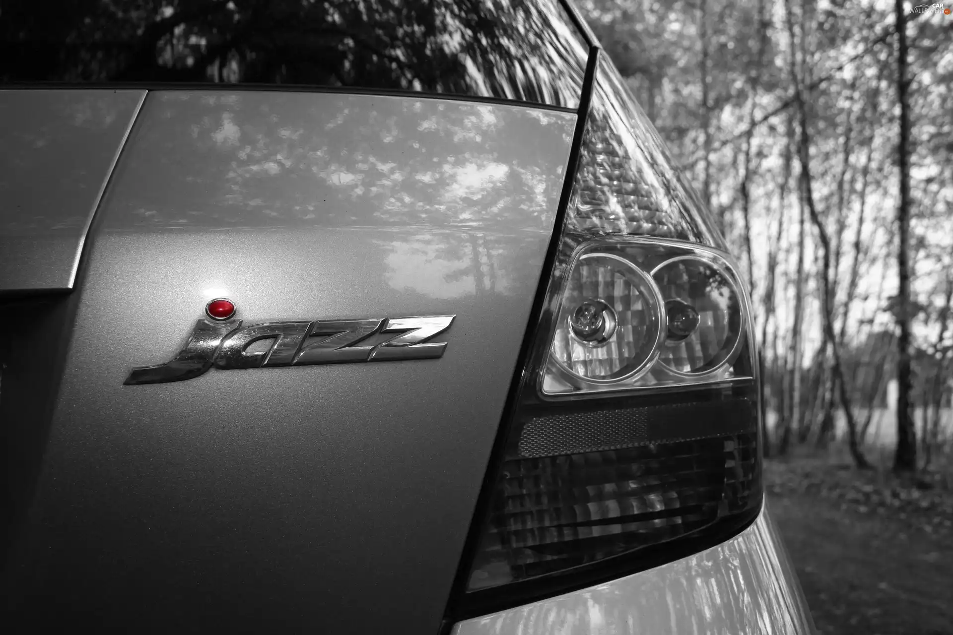 Honda Jazz, White, Monochrome, black