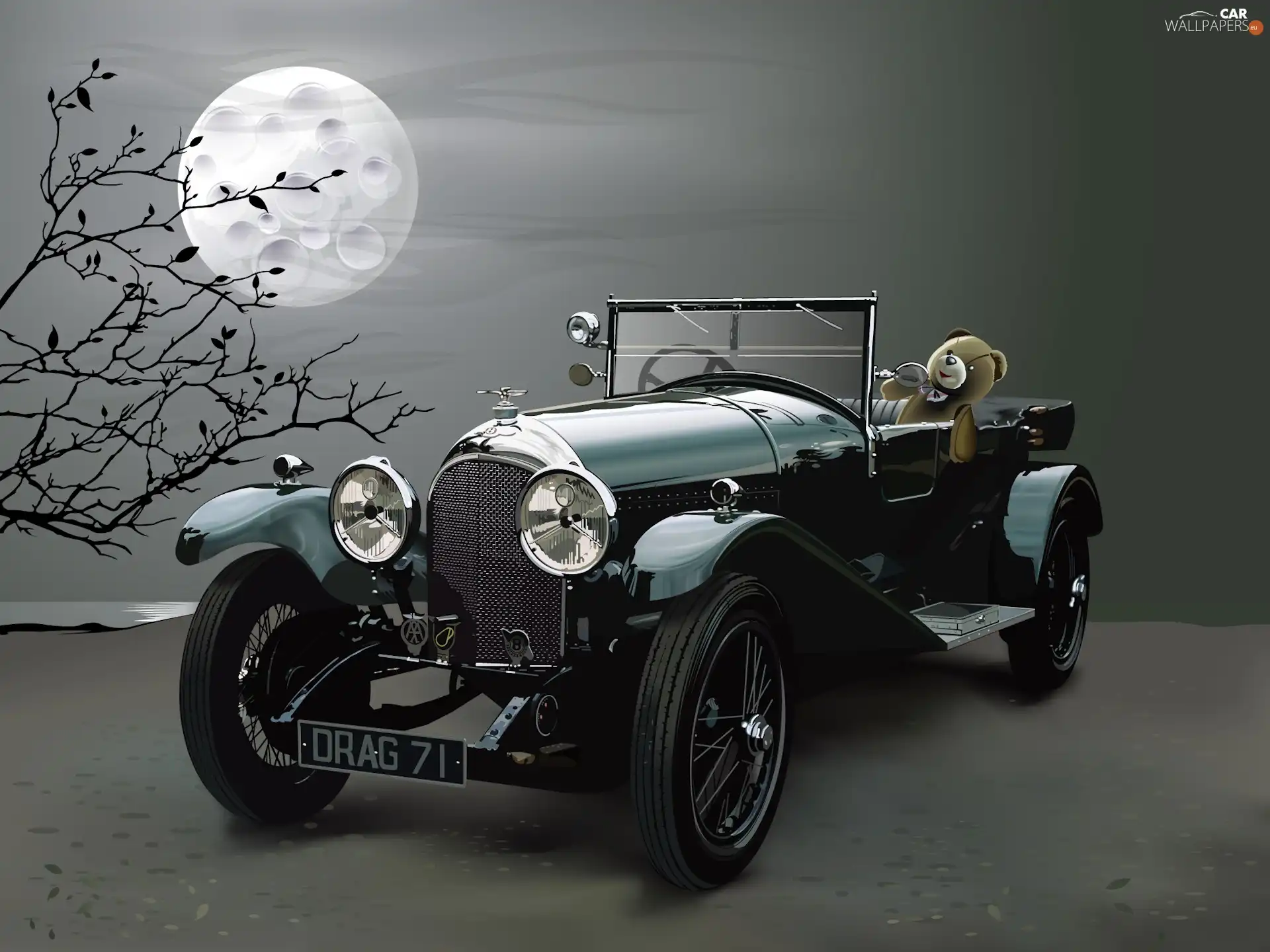 Chevrolet, teddy bear, moon, Twigs