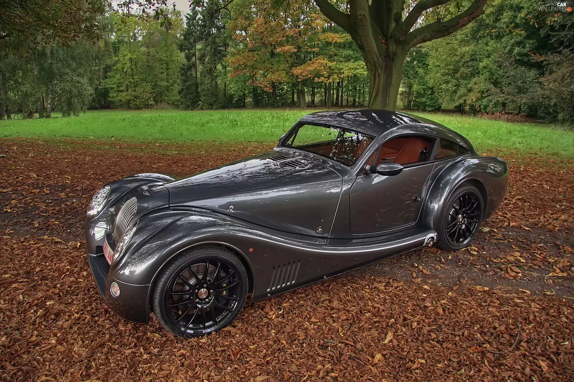 Leaf, Morgan Aero 8, Park