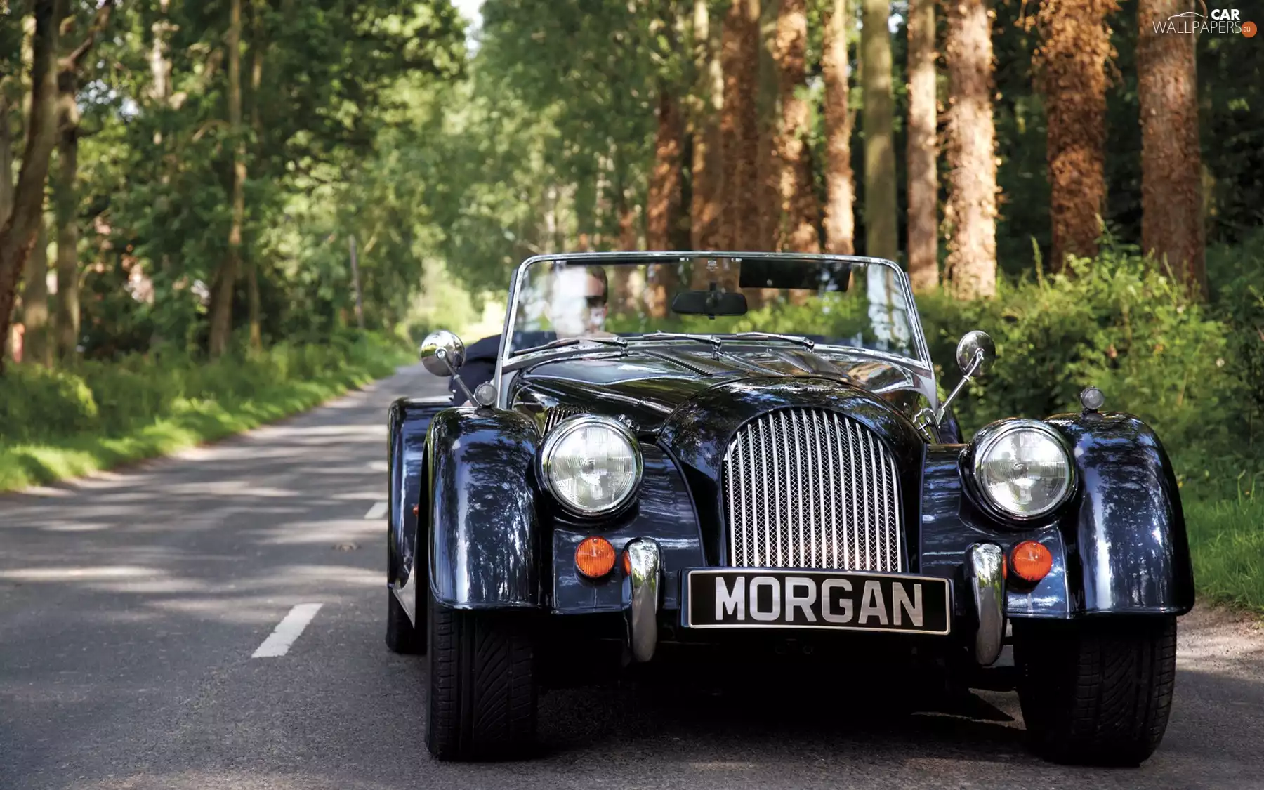 Automobile, Way, forest, Morgan