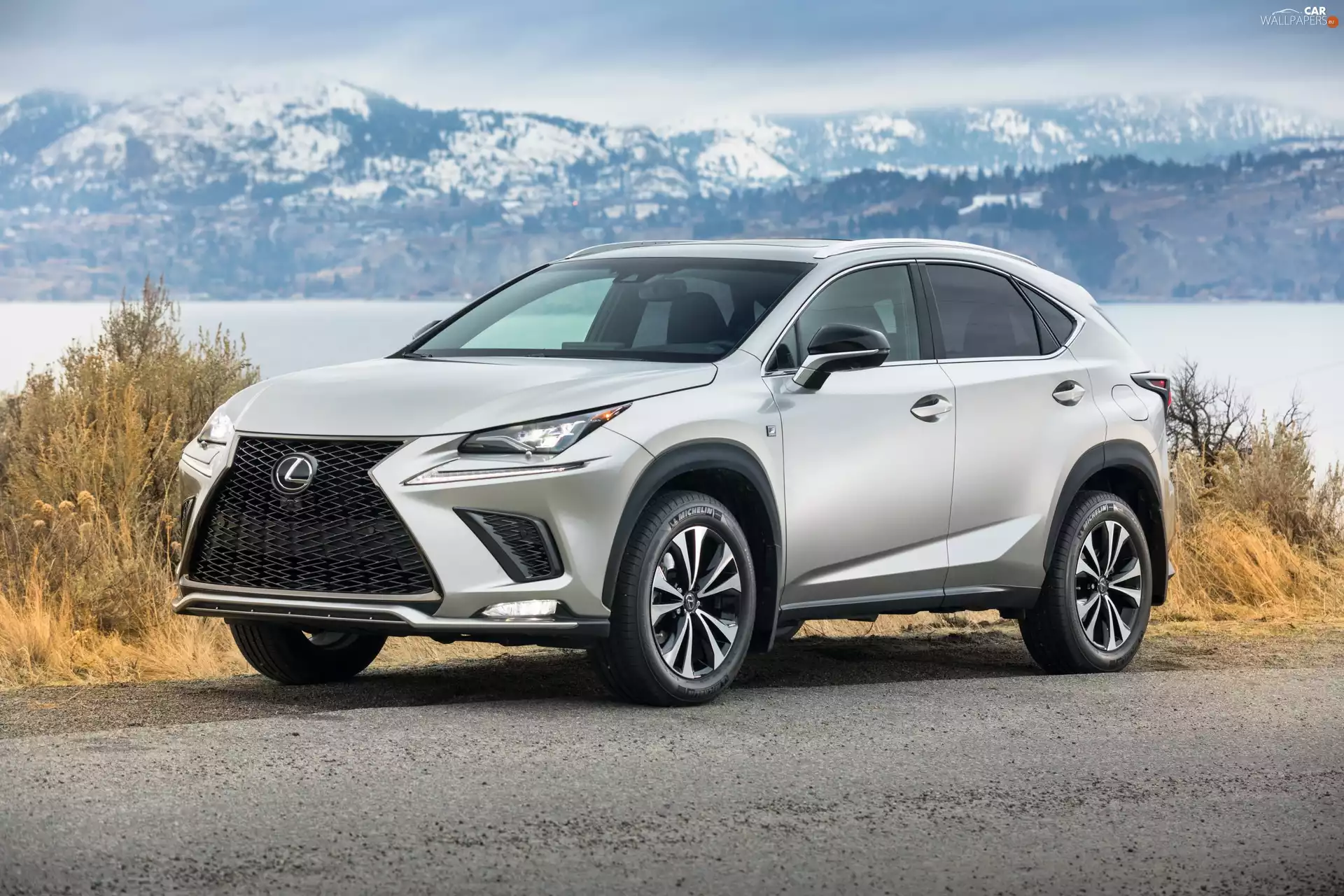 Lexus NX 300h, Mountains