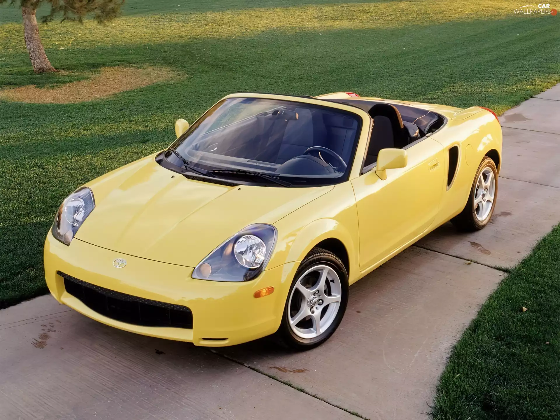 MR-2, Yellow