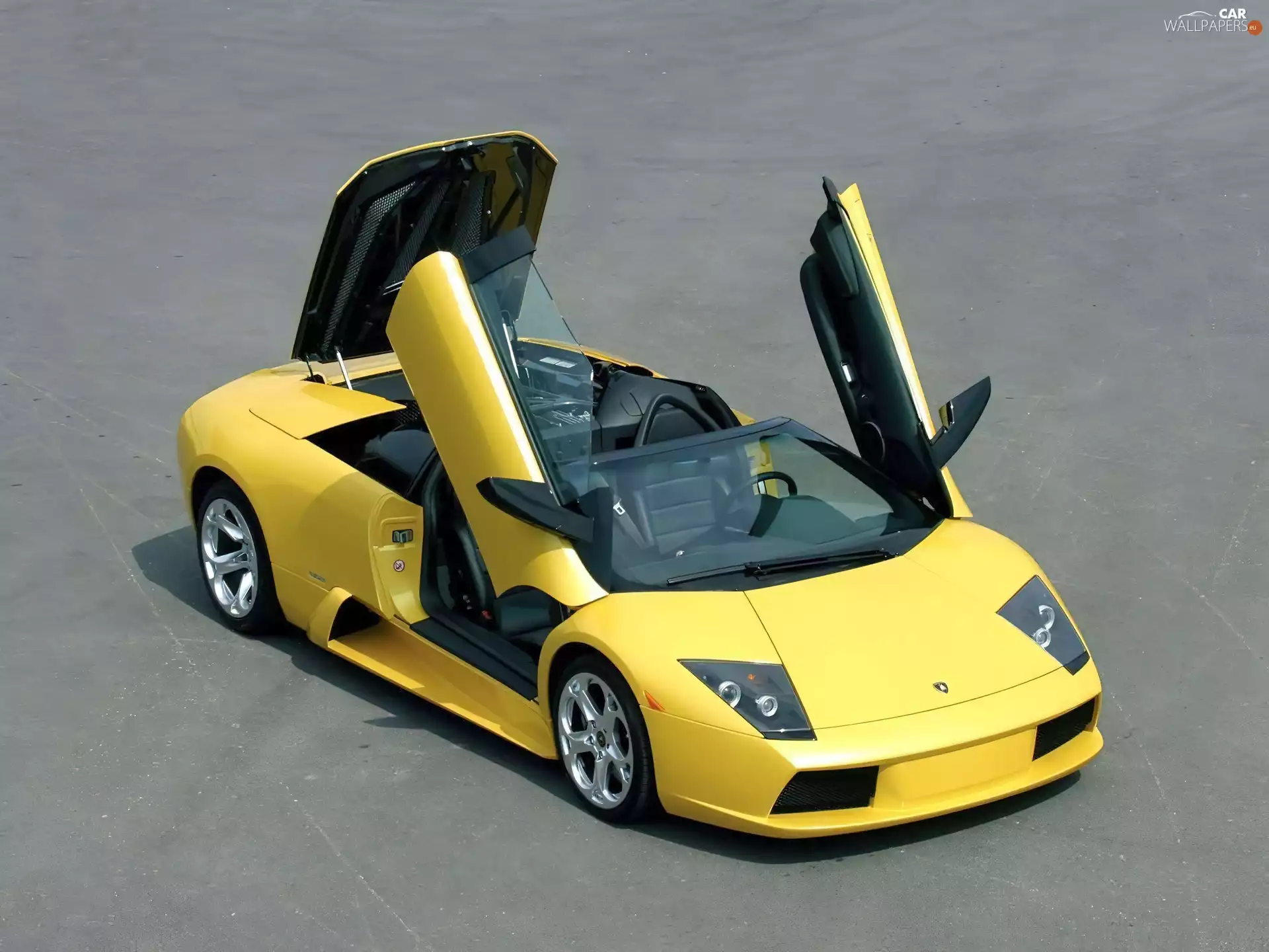 Lamborghini Murcielago, Doors, flap, raised