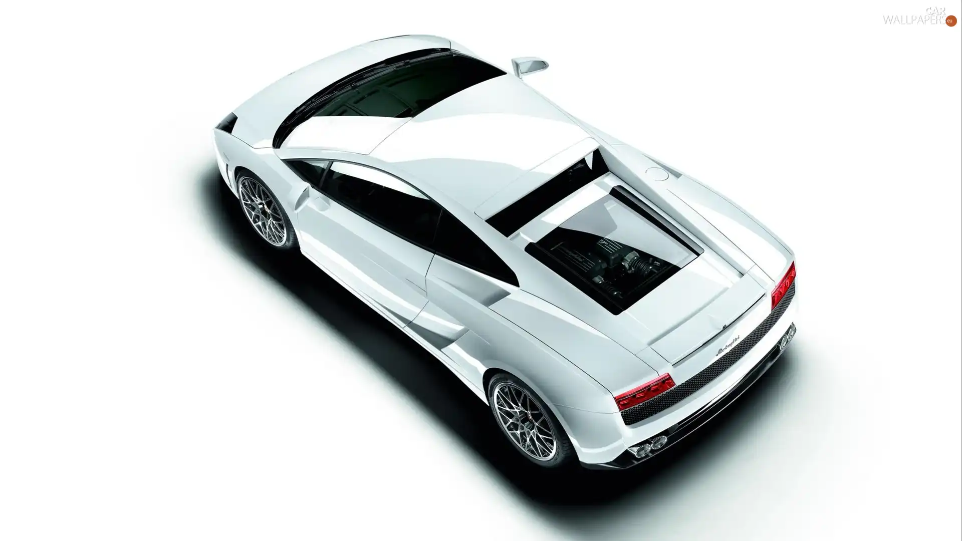 White, Lamborghini Murcielago