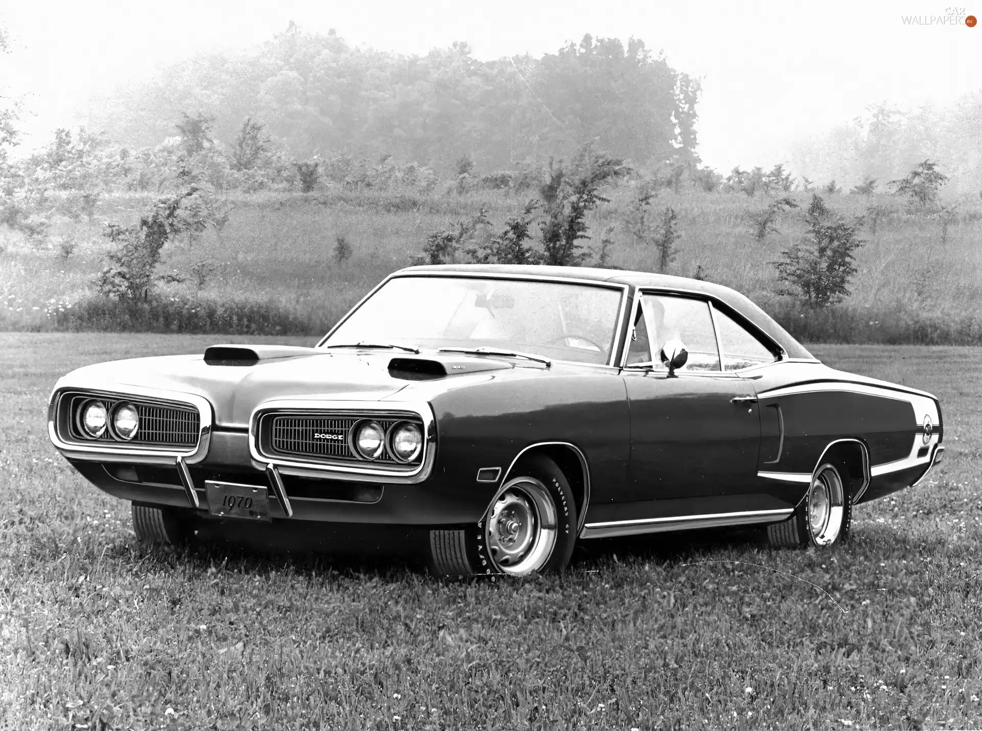 car, Dodge Coronet, Muscle