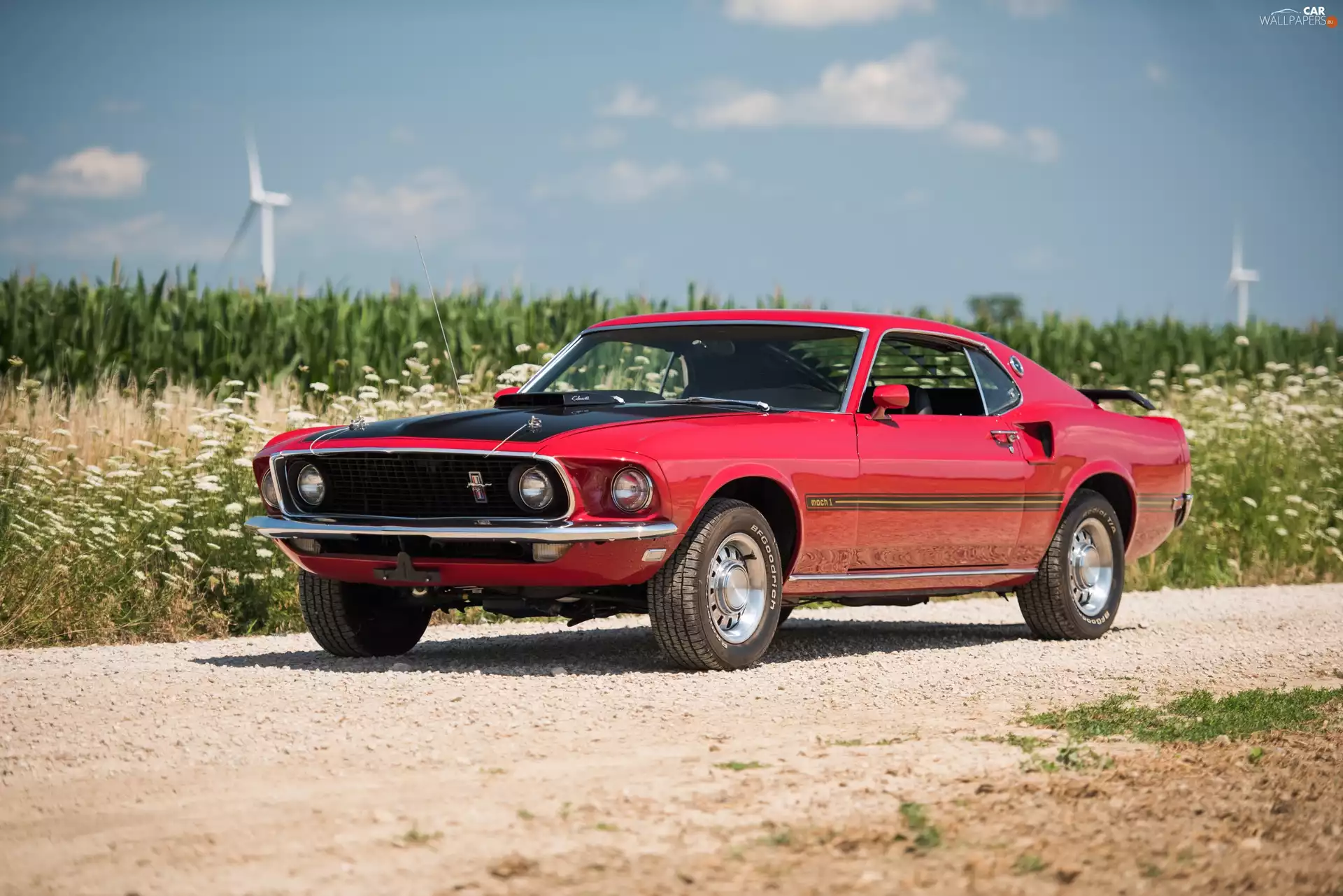 1969, antique, Ford Mustang Mach 1