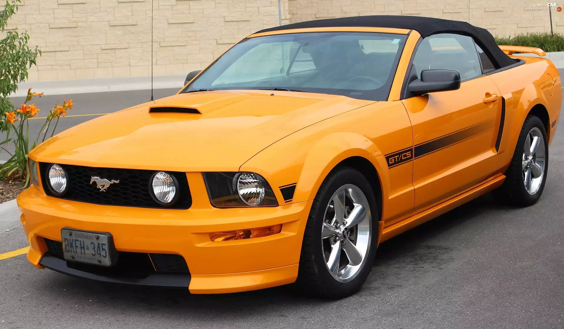 Cabriolet, Orange, Ford, Mustang GT, Automobile
