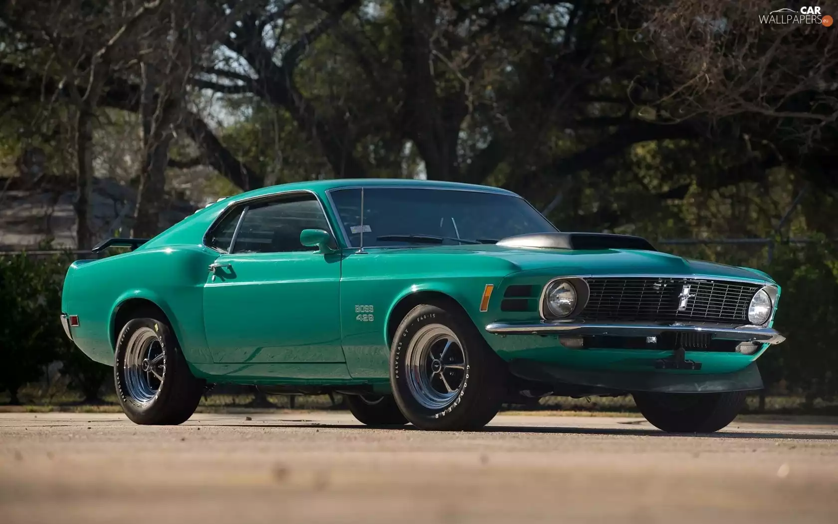 Mustang, antique, Ford