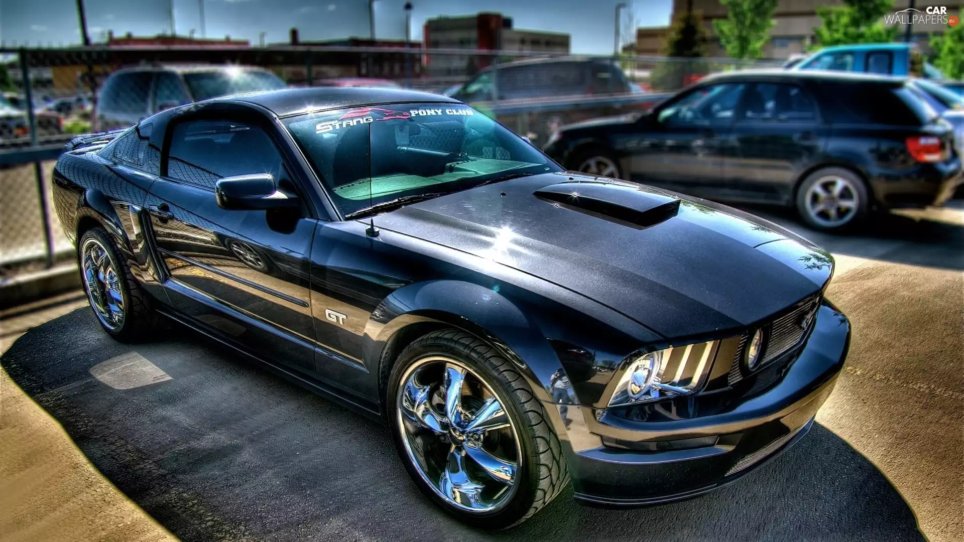 Ford Mustang GT 500, chrome