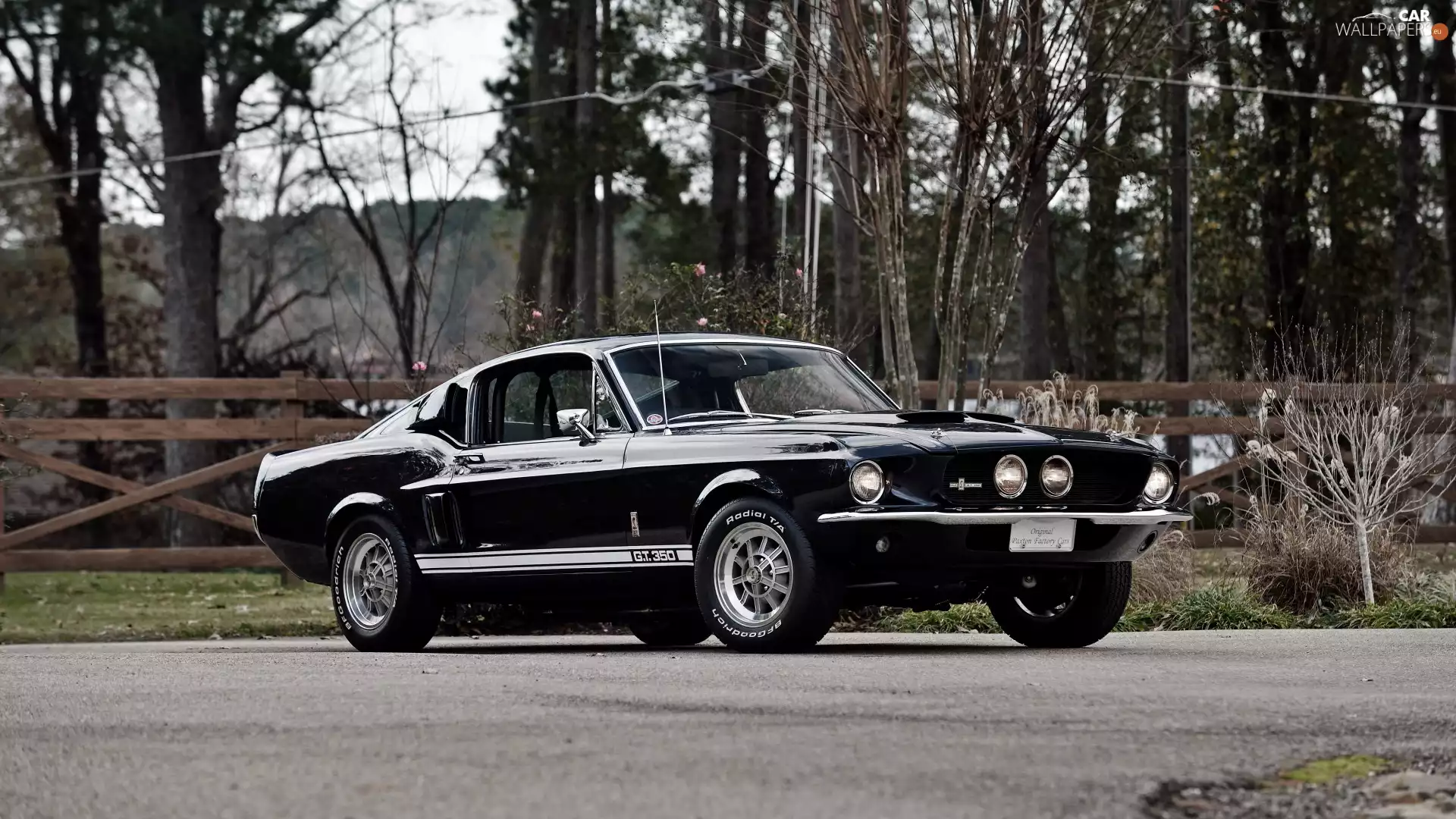 1967, antique, Ford Mustang Shelby GT350