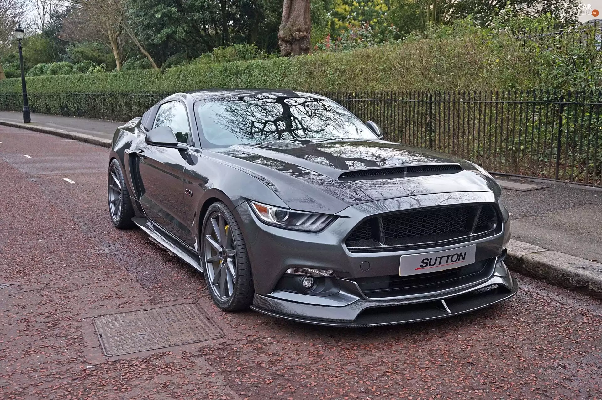 Ford Mustang Sutton CS800, 2017