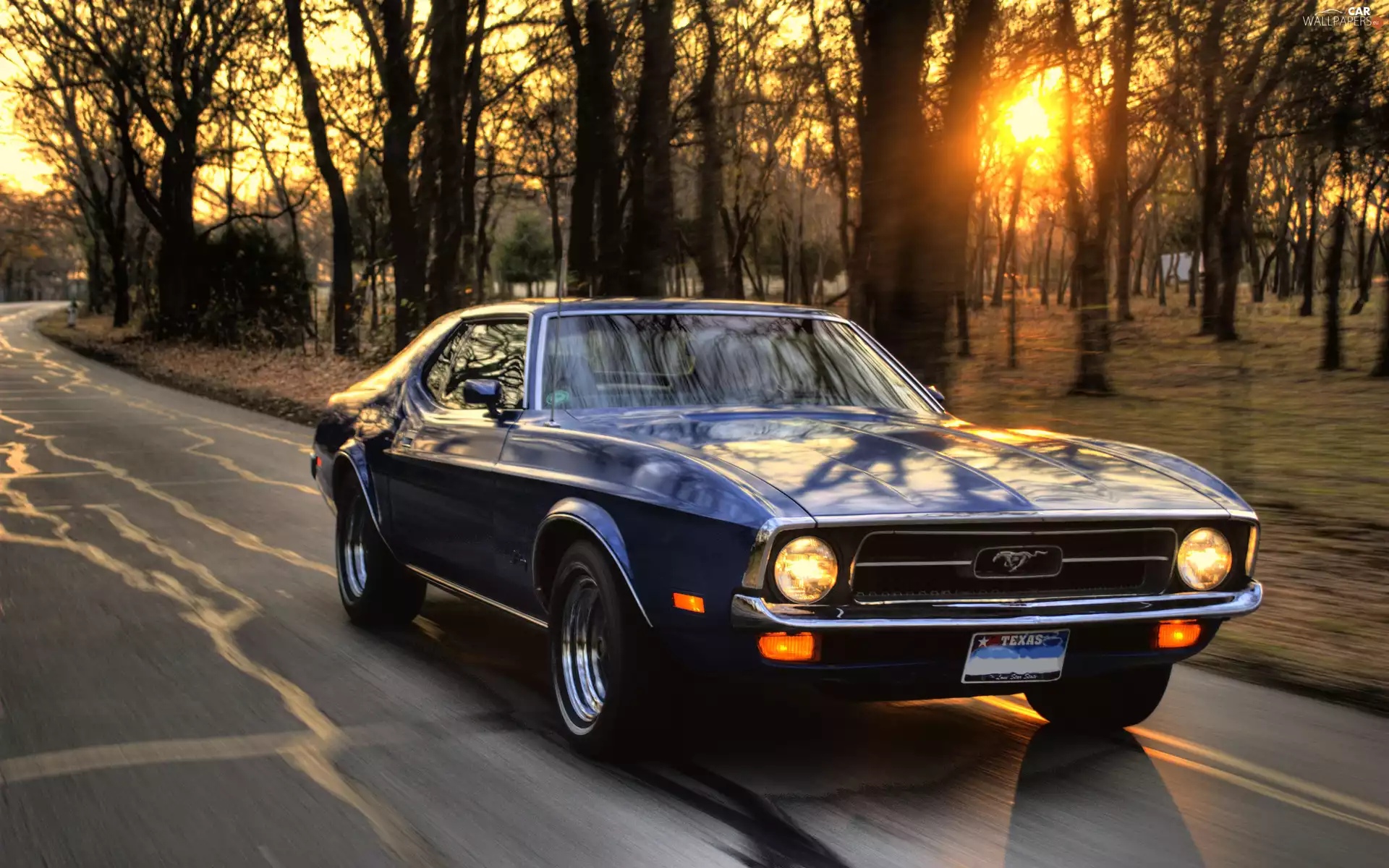 Street, Ford, west, Mustang, Granate, Park, sun