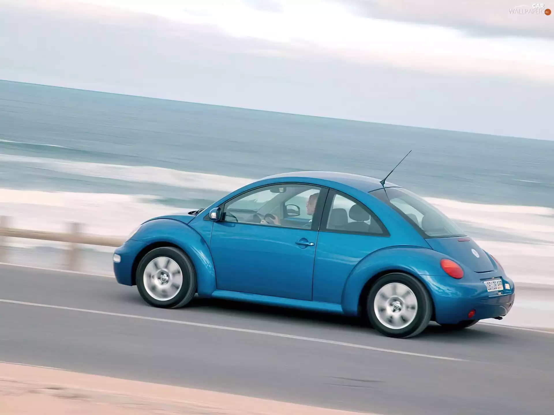 New Beetle, Blue