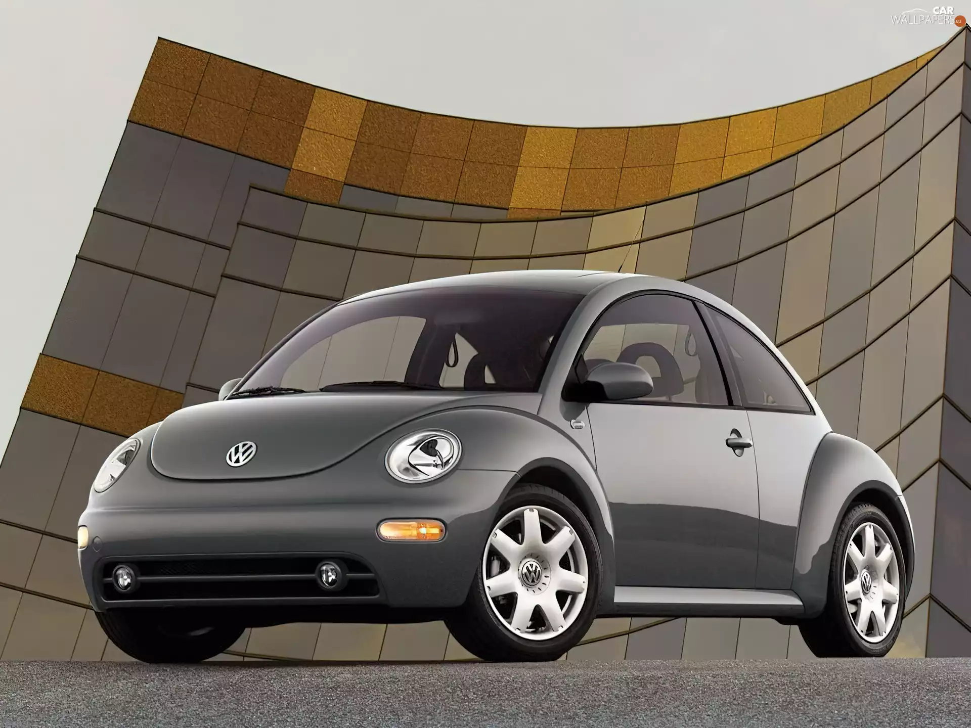 New Beetle, Gray