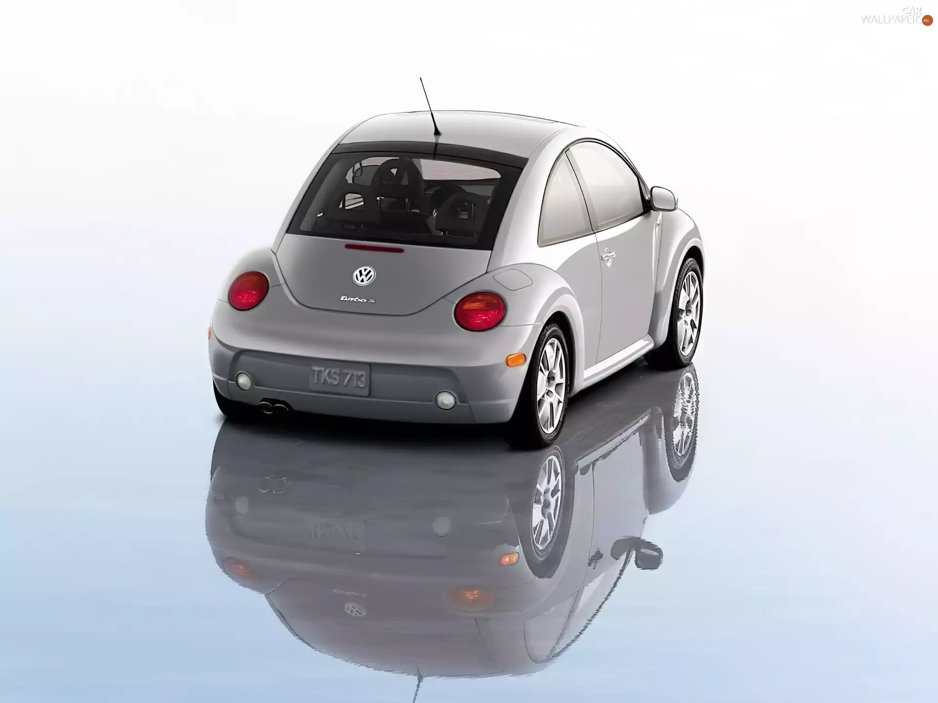 New Beetle, Gray