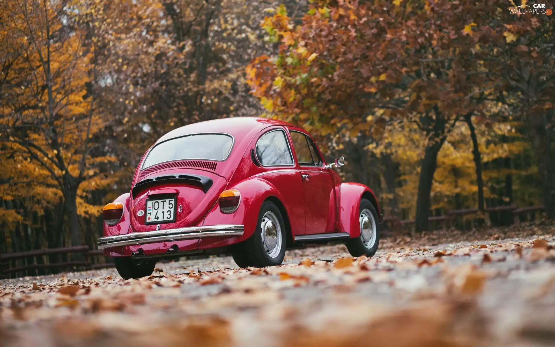 viewes, autumn, Volkswagen, New Beetles, Automobile, trees