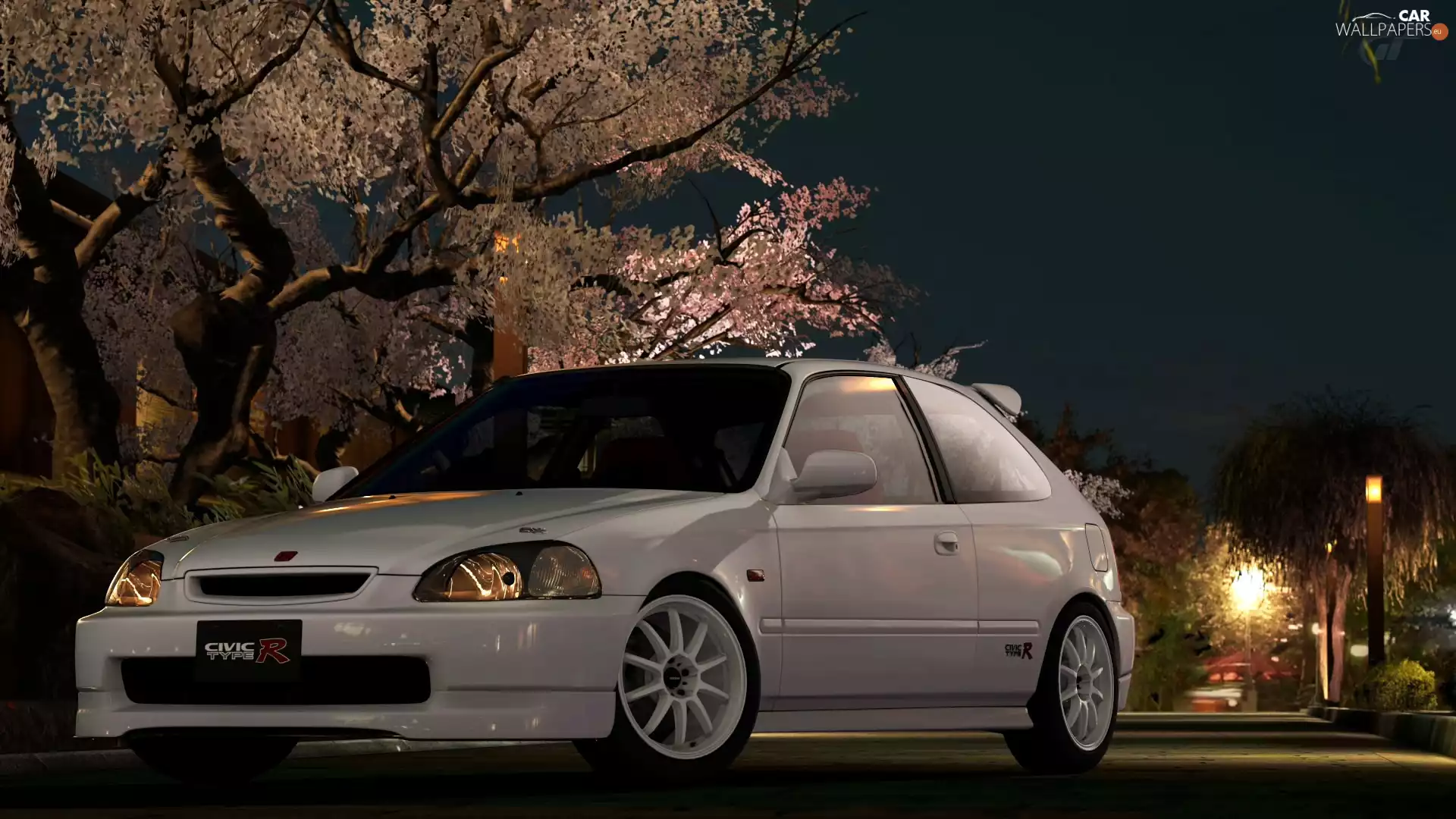 Night, White, Honda