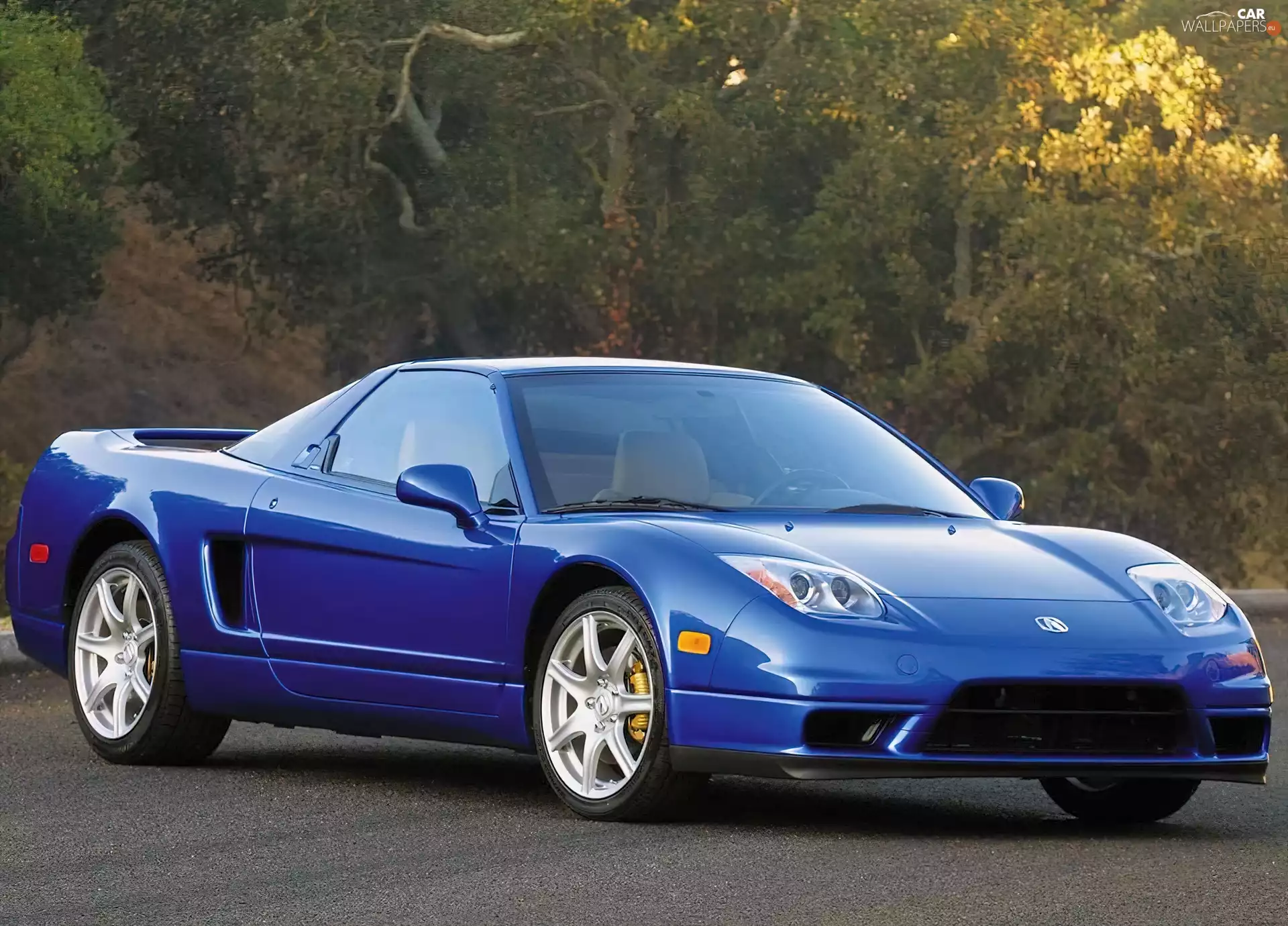 spoiler, Blue, Acura NSX