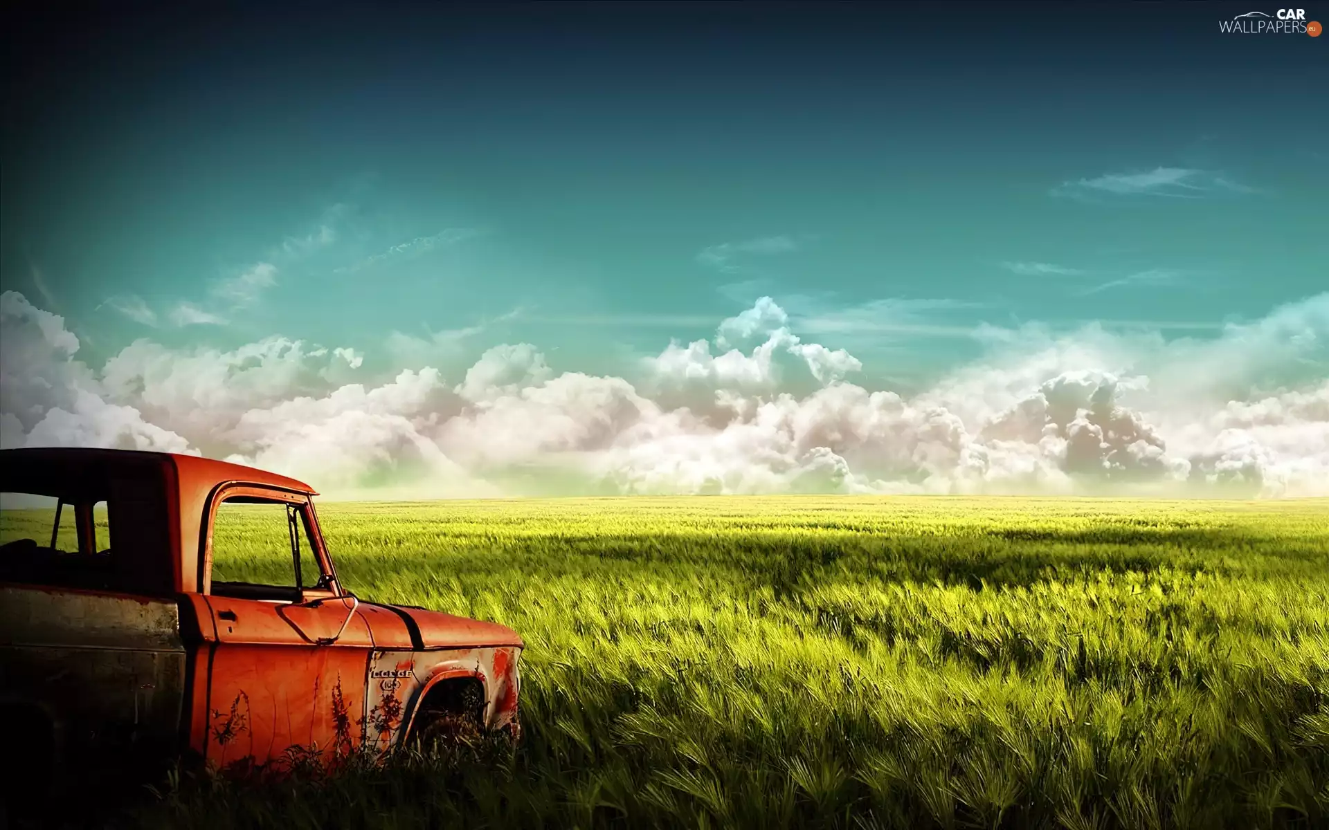 motor car, Field, old