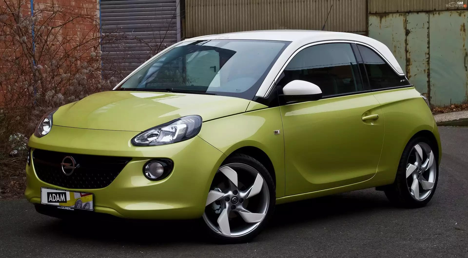 Opel, adam