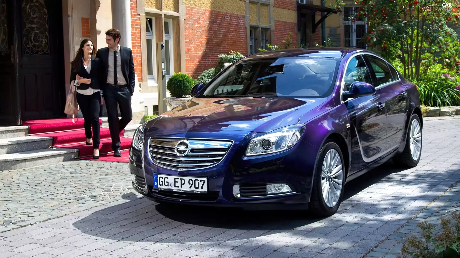 Granate, House, Steam, Opel Insignia Ecoflex