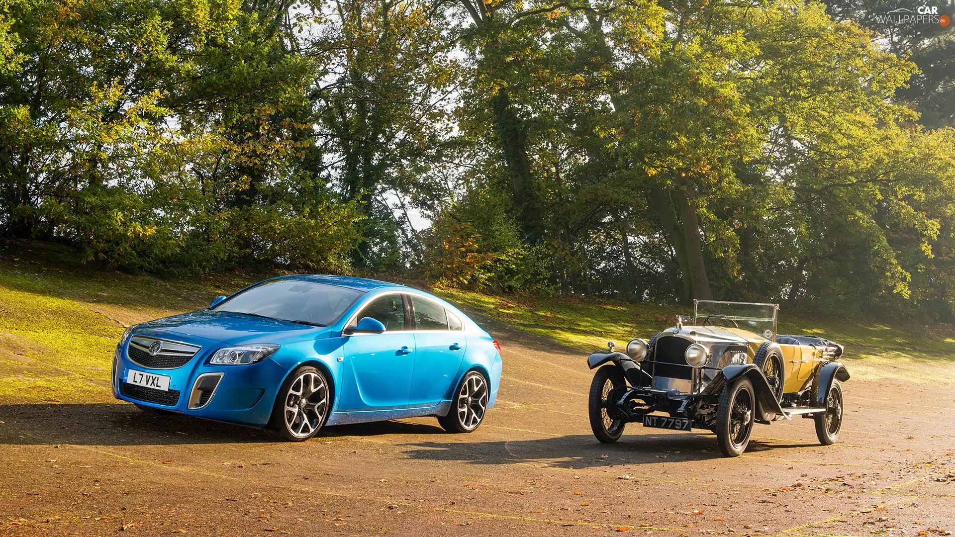 green, Opel Insignia Opc, antique