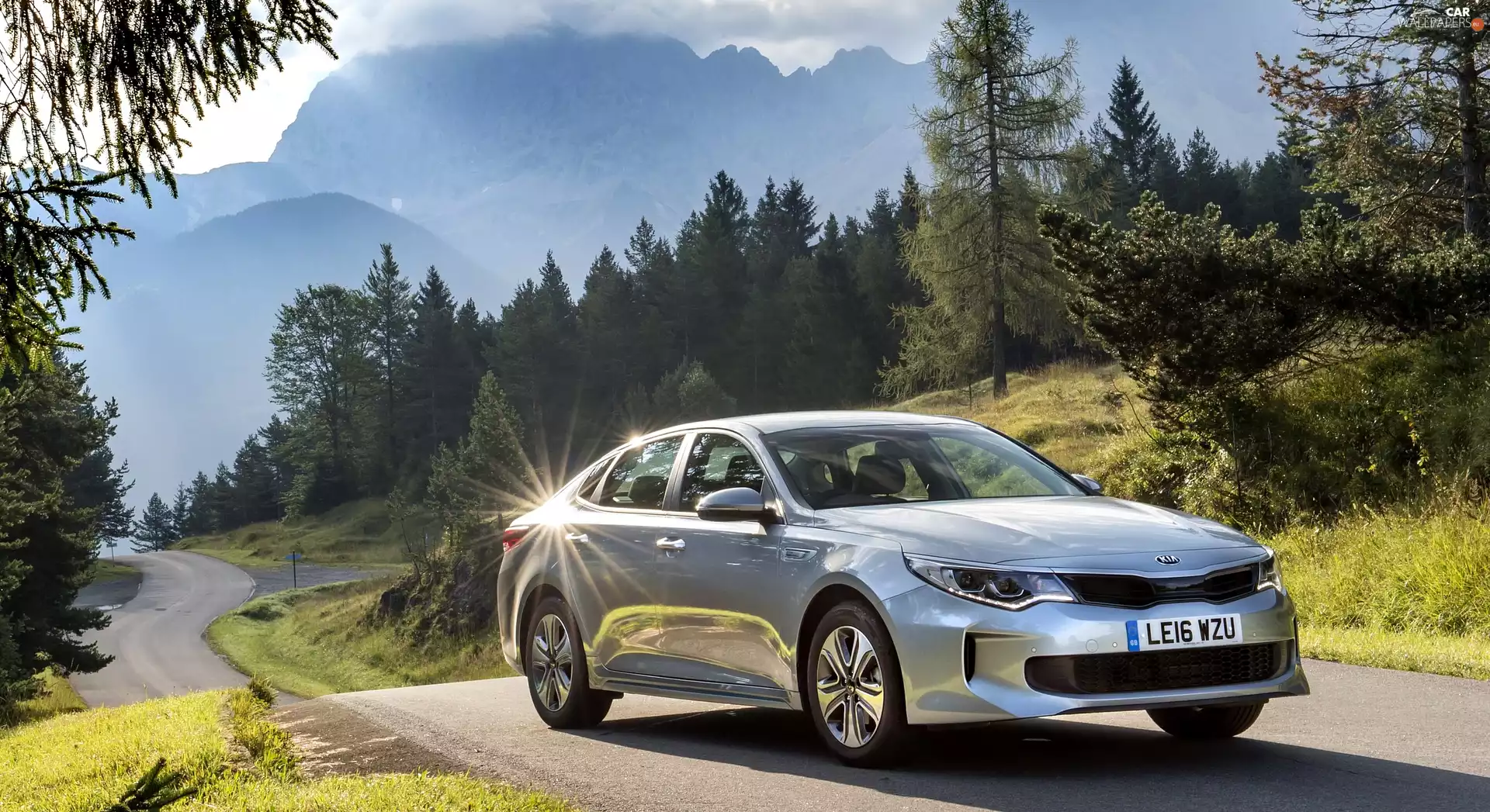 Kia optima, trees, viewes, Way
