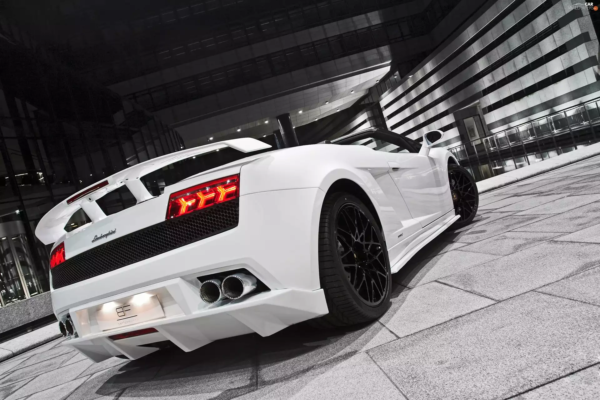 White, pack, BF, Lamborghini Gallardo