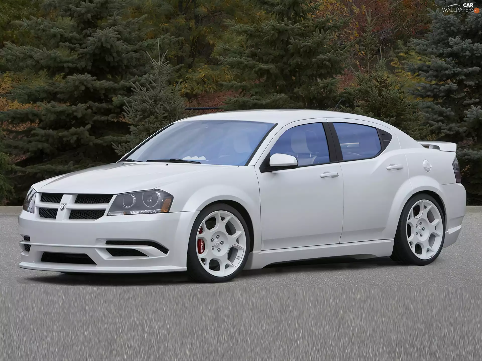 White, pack, stylistic, Dodge Avenger