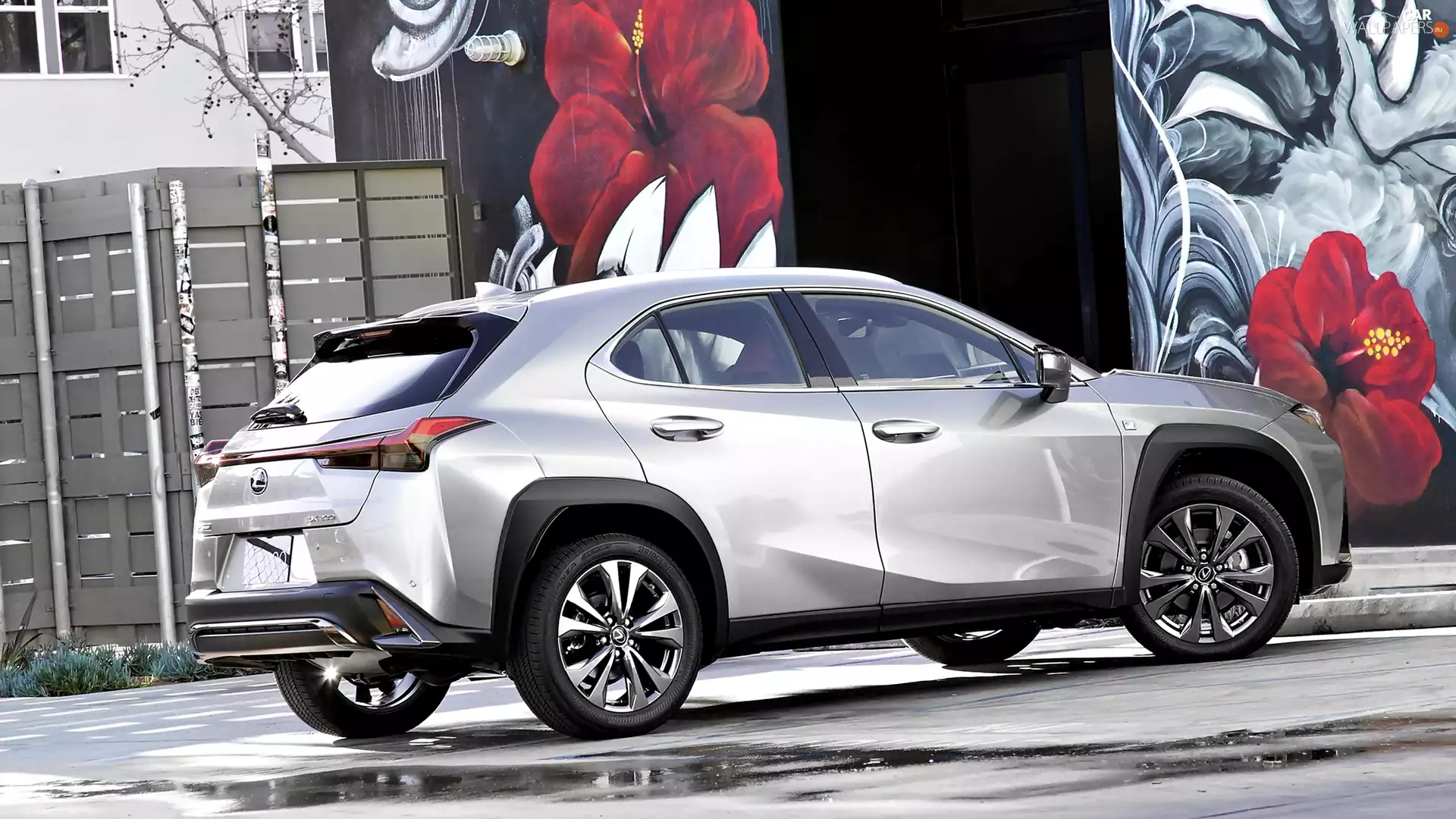 silver, painted, wall, Lexus UX