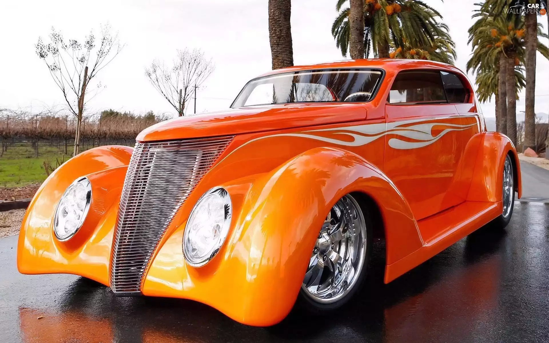 Sedan, Palms, Automobile, Ford, Orange