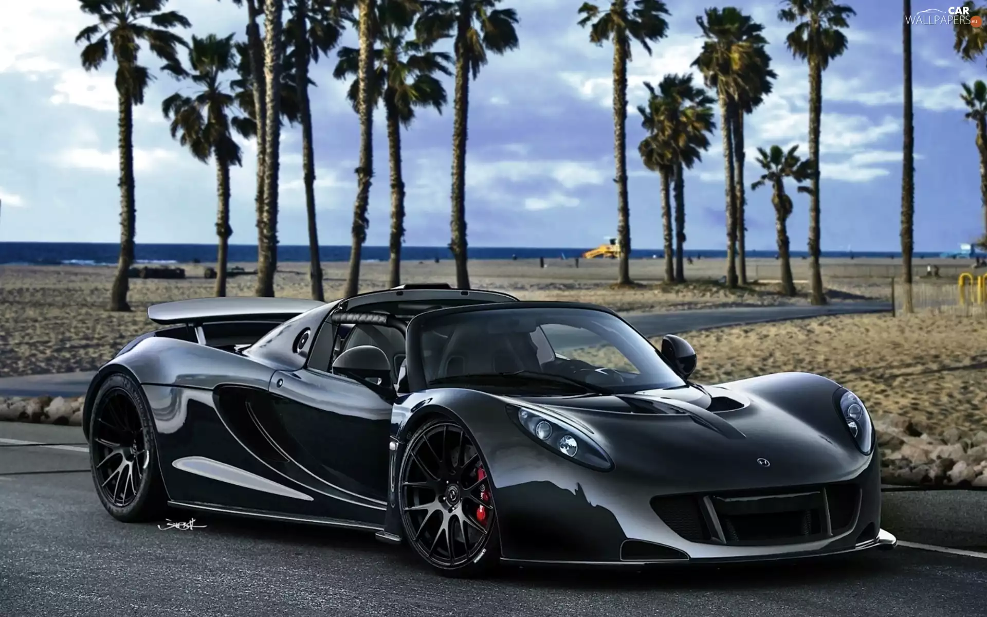 Palms, Hennessey, Beaches